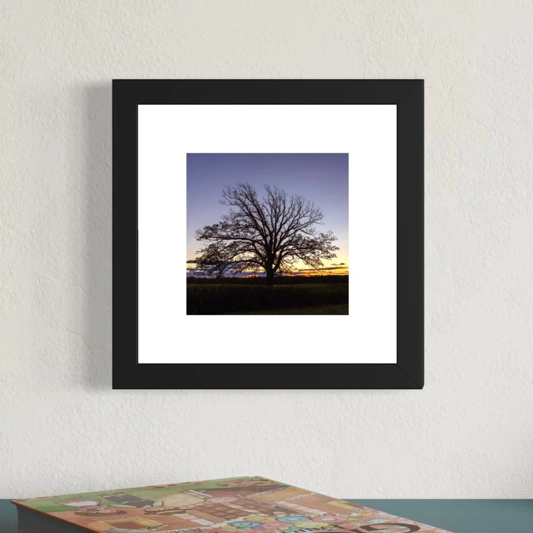 IMGF8981 6x6 1.125 FRAME.JPG