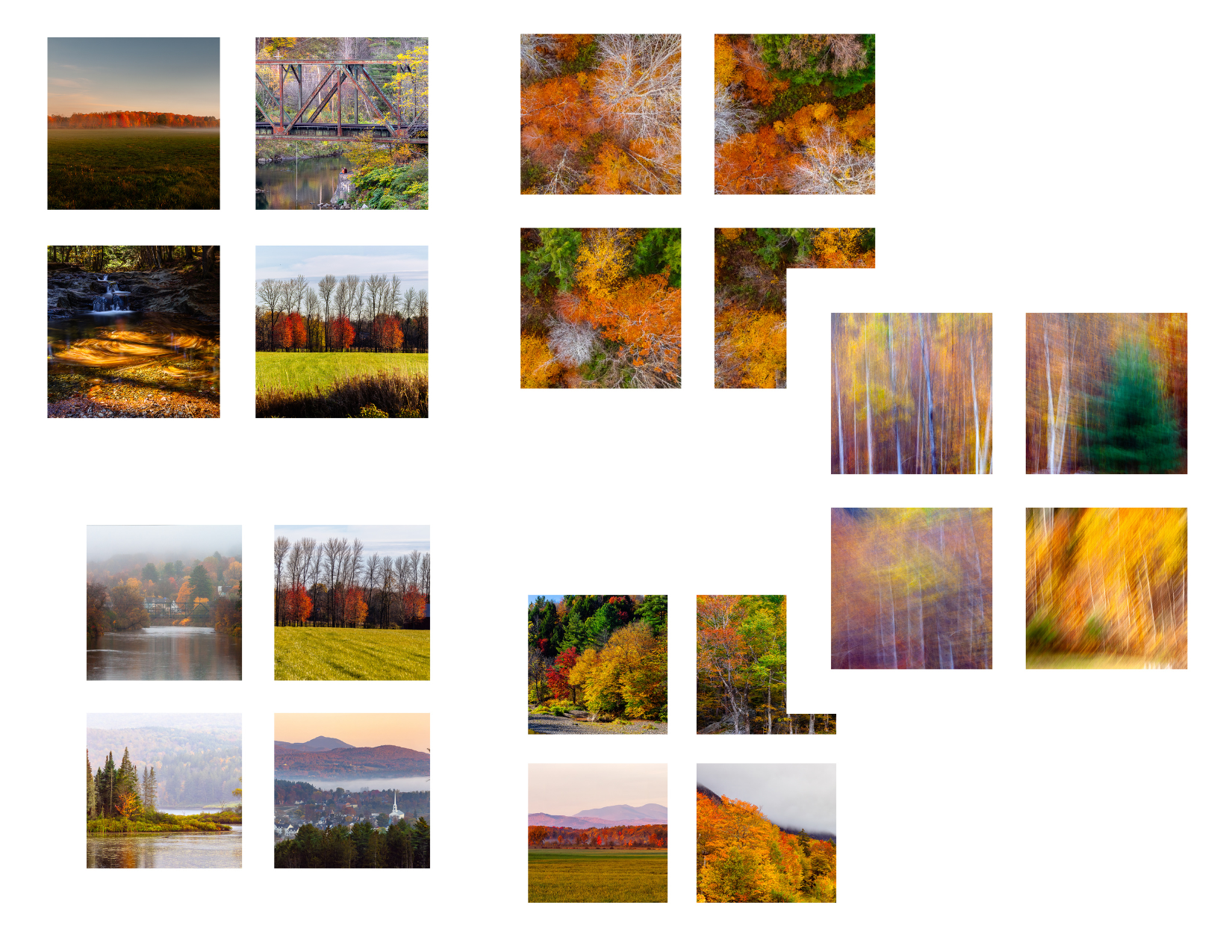 FOLIAGE ICON.png