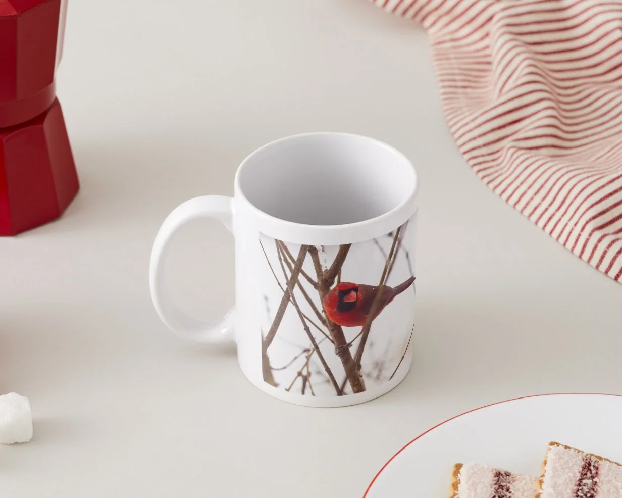 IMGA5393 5x5 MUG IMAGE 3-58.jpg