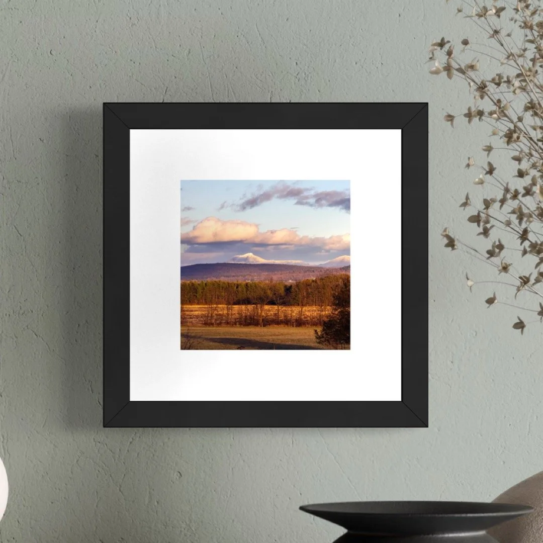 IMGA5586 6x6 1.125 FRAME.JPG