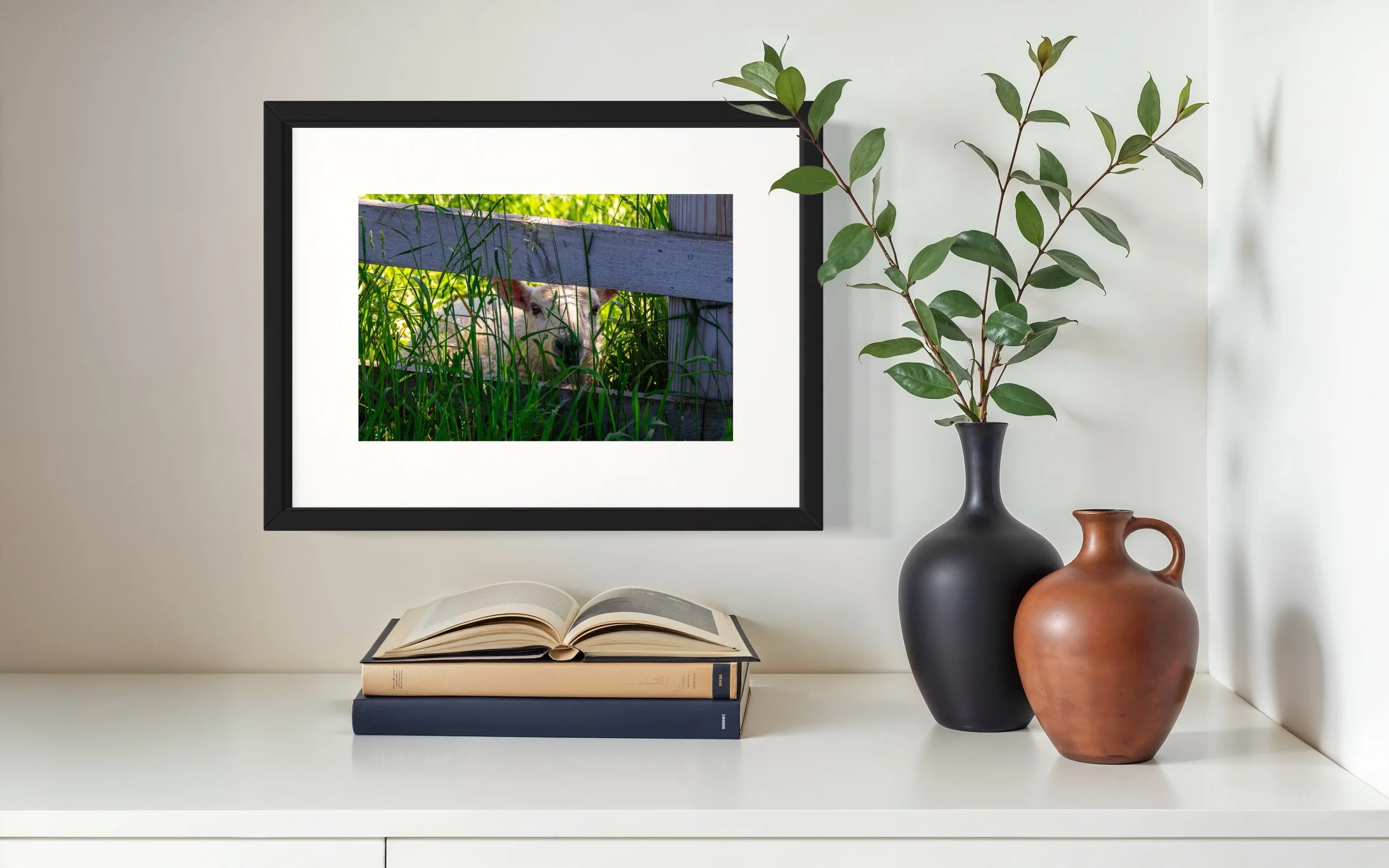 IMGF2635 12x16 2.125 FRAME.JPG