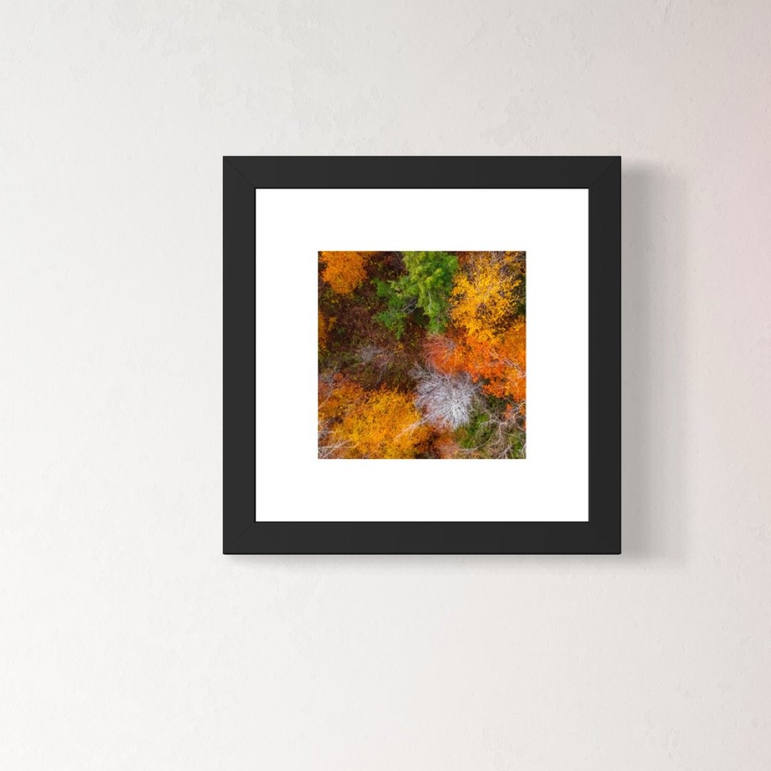 DJI241021_11 A 6x6 1.125 FRAME.JPG