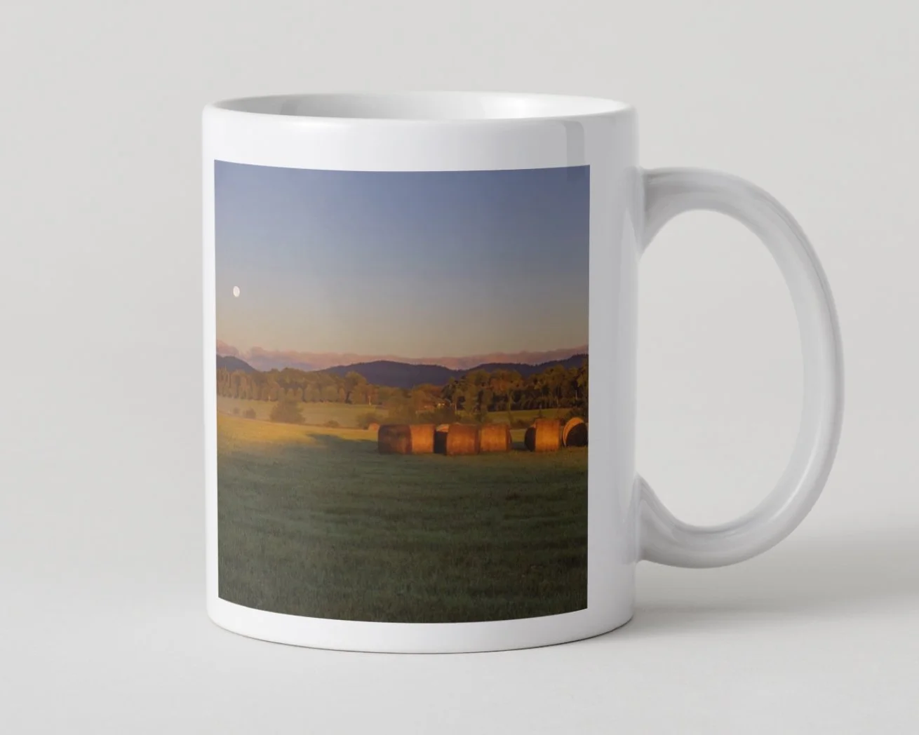 IMGF9017 5x5 MUG IMAGE 1-93.jpg