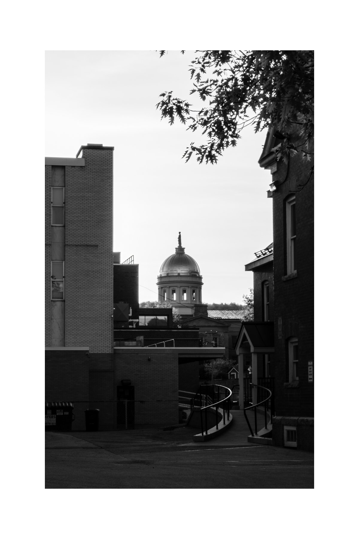 IMGA2392 0.5 0.56 CAT.jpg