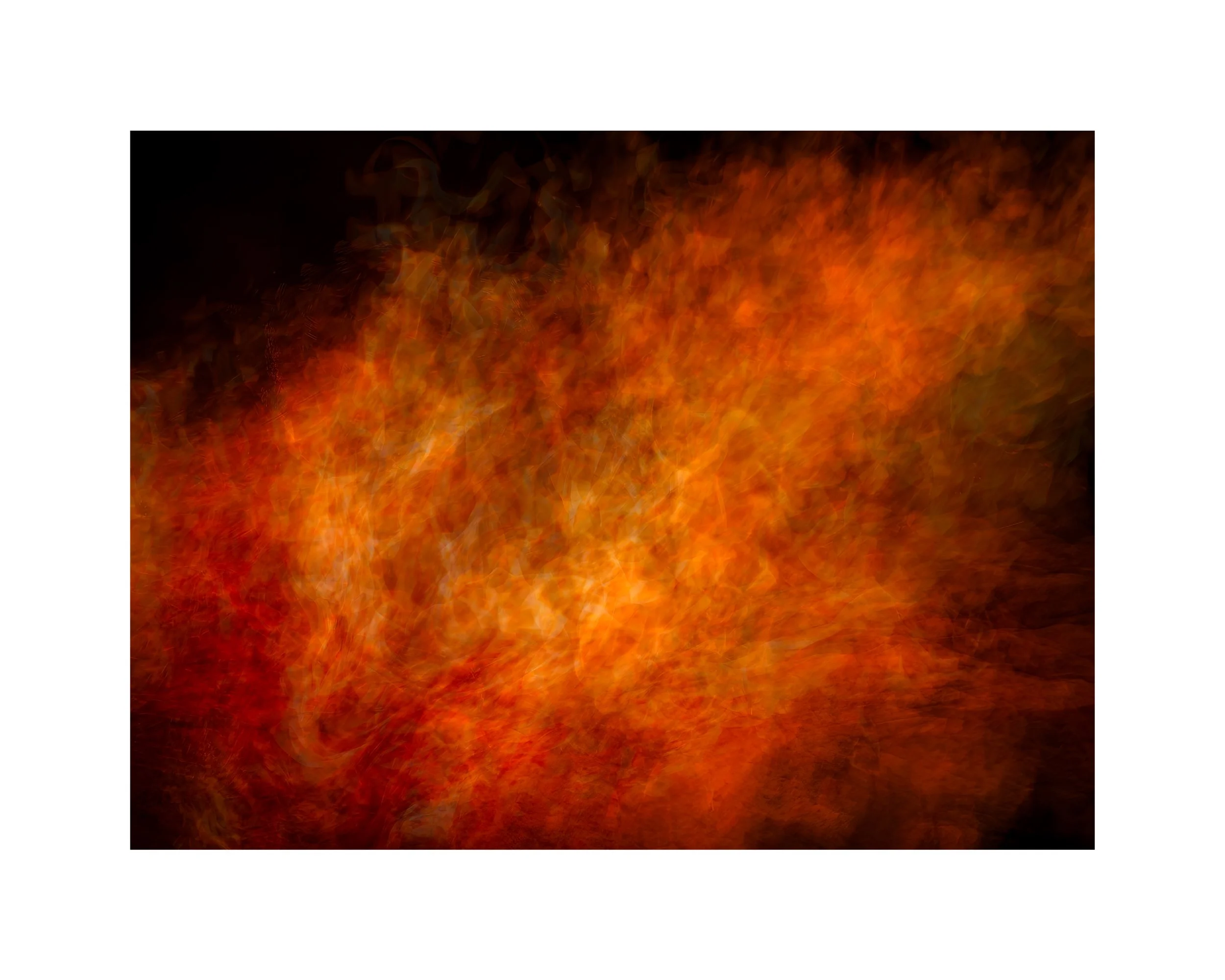 IMG_9164 16x20 2.125 CAT.jpg