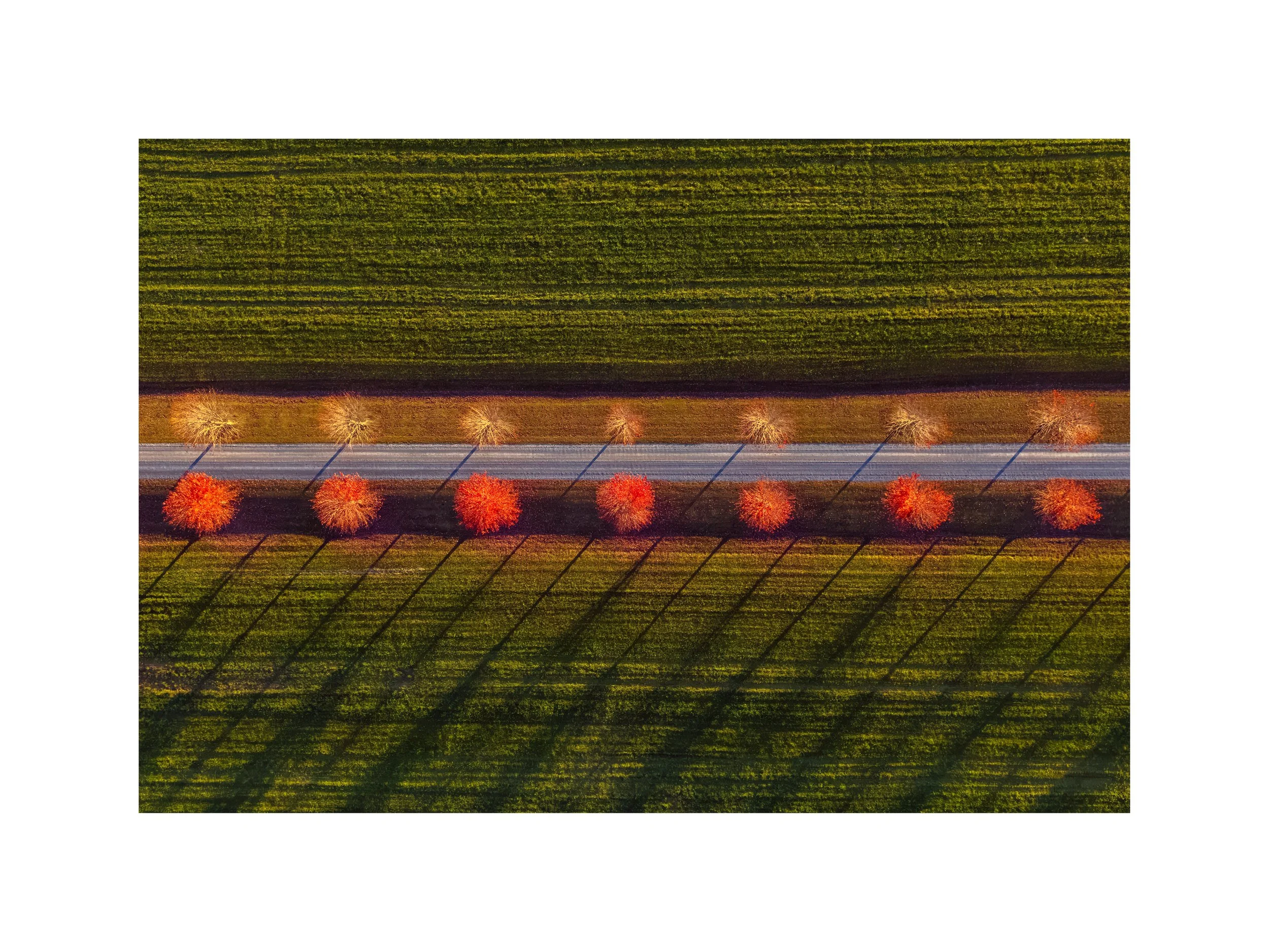 DJI 20261019 0015 18x24 2.625 CAT-18.jpg