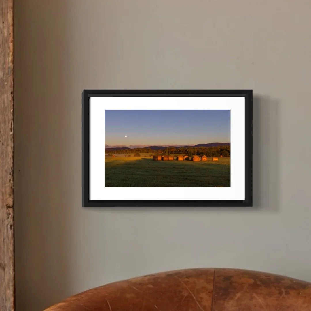 IMGF9017 4X6 0.5 0.56 FRAME.JPG