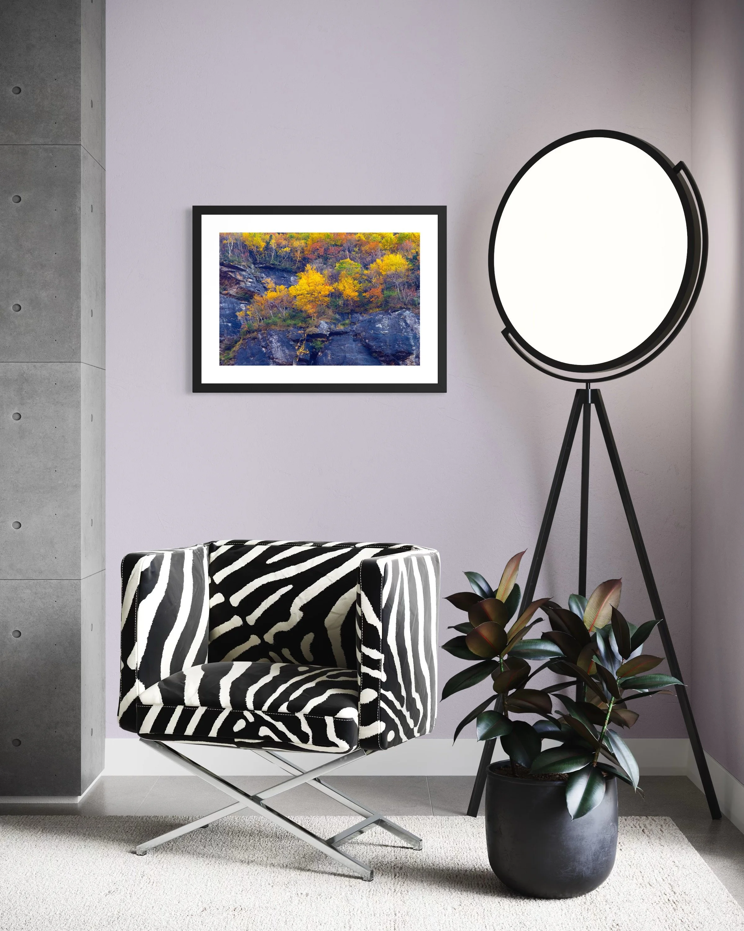 IMGG3067 20X28 2.125 FRAME.JPG