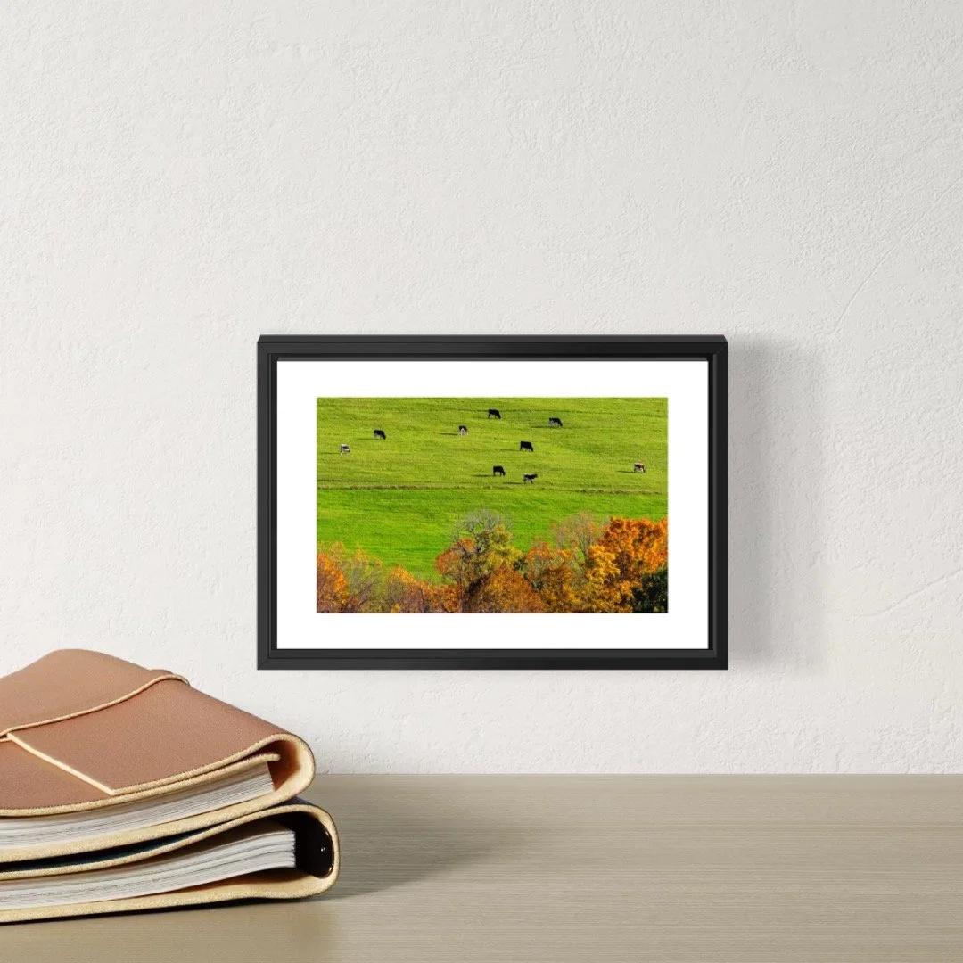 IMGC9667  H 4X6 0.5 0.56 FRAME.JPG