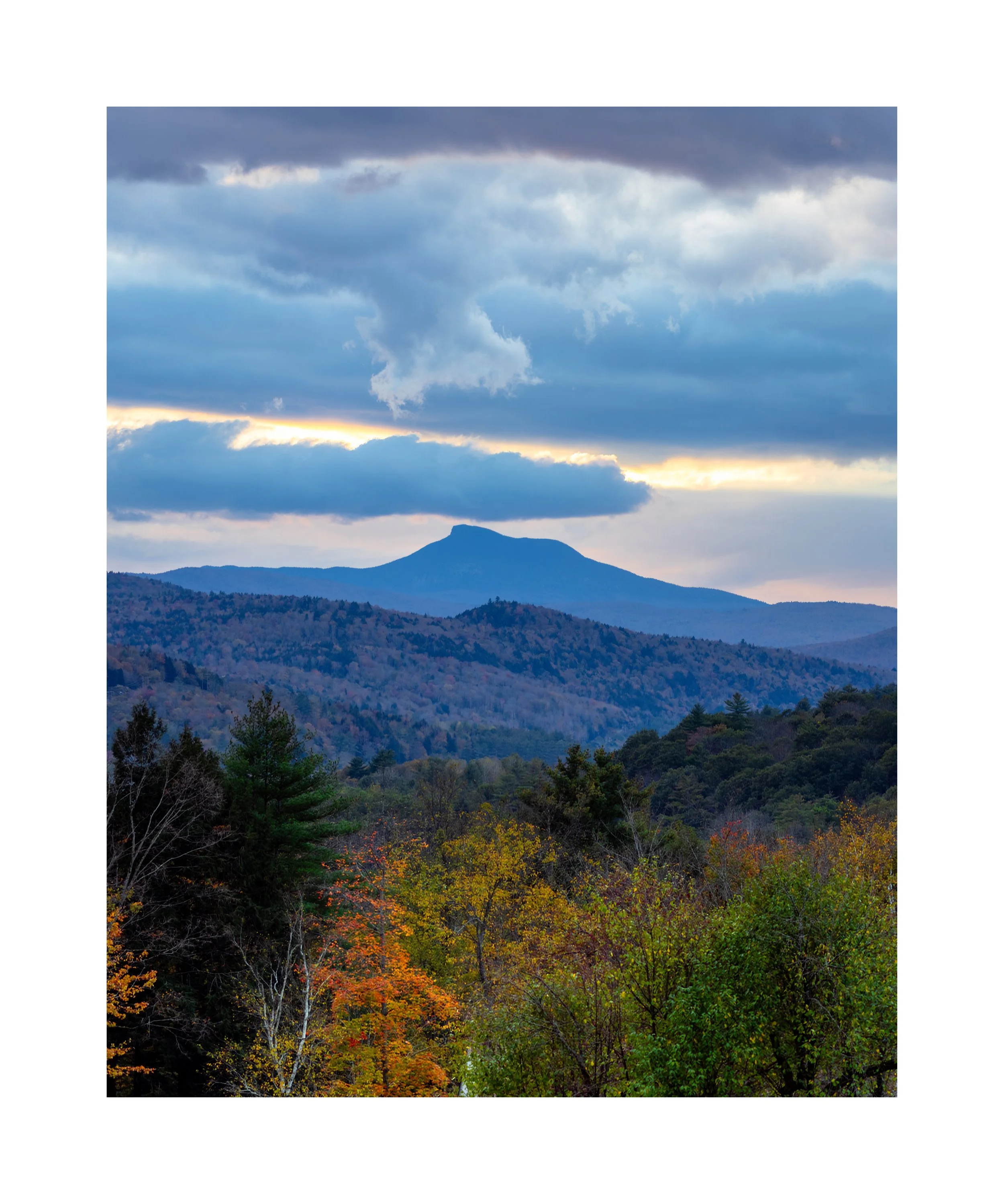 IMGA0022 24x20 2.125 CAT-L.jpg