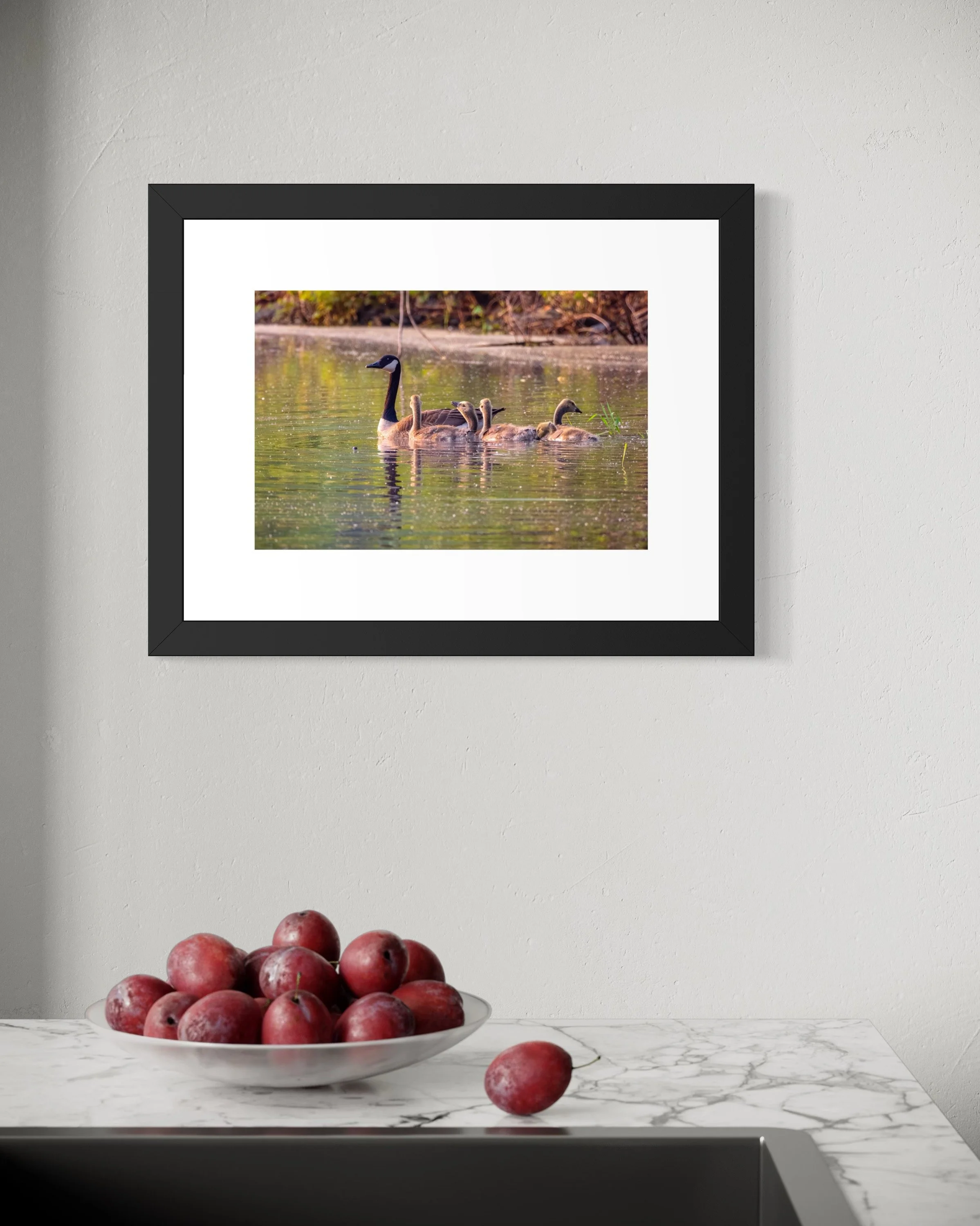 IMGF3394 12x16 2.125 FRAME.JPG