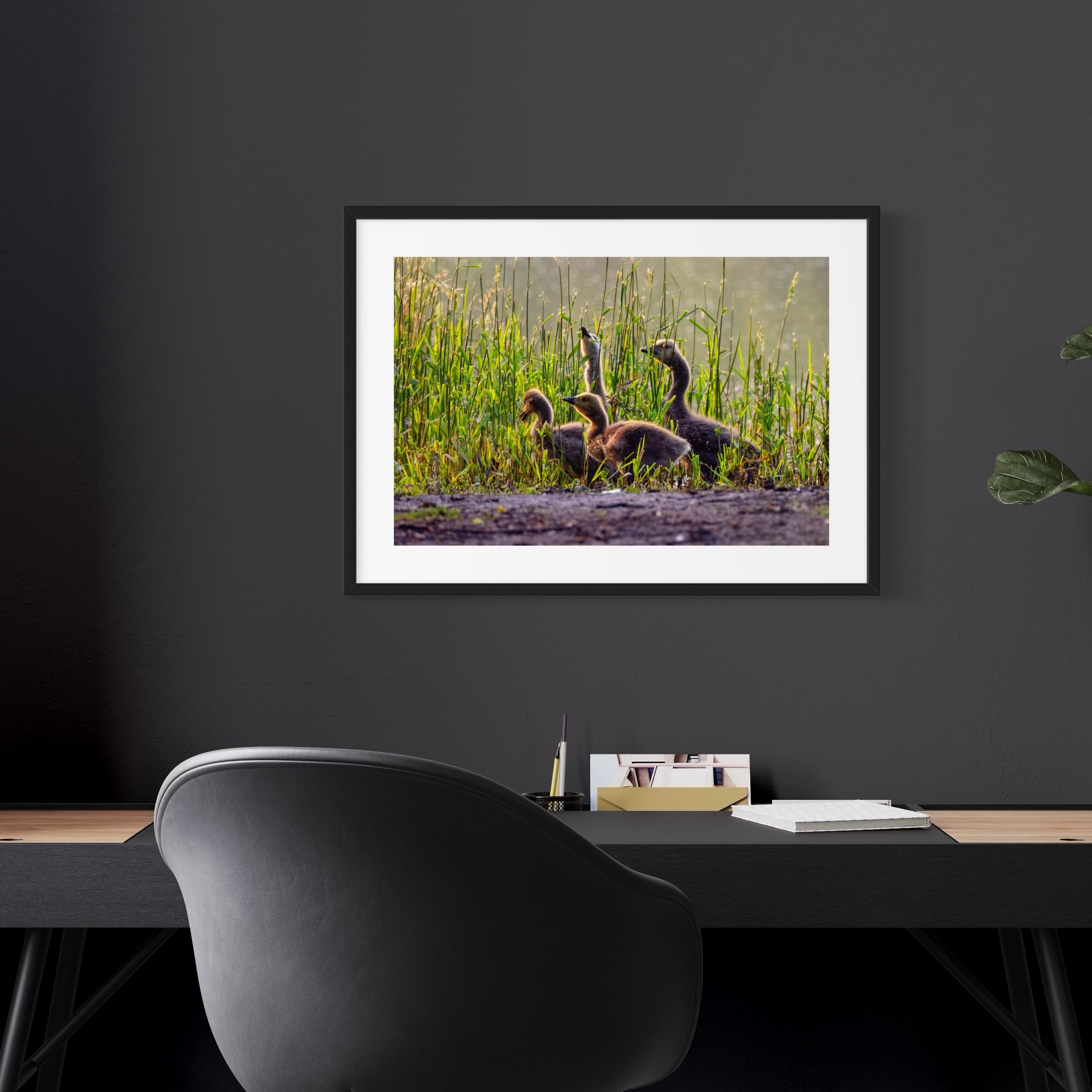 IMGF3731 20x28 2.125 FRAME.JPG