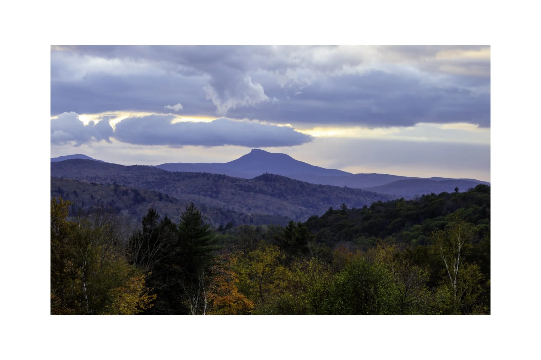 IMGA0010 4X6 0.5 0.56 CAT.jpg