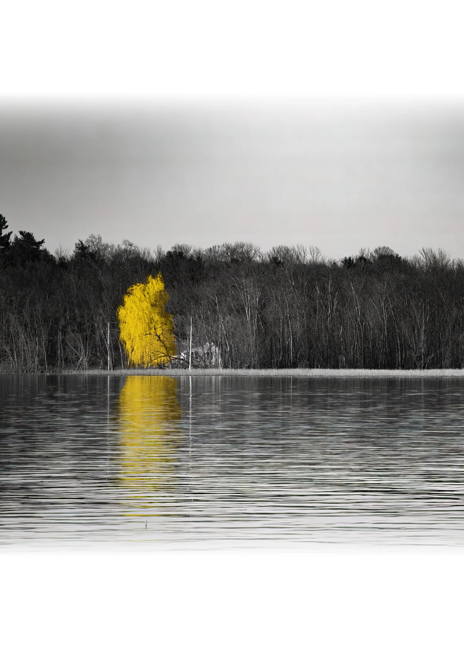 IMG_4426 NOTECARD CENTER FADE 7x5 CAT.jpg