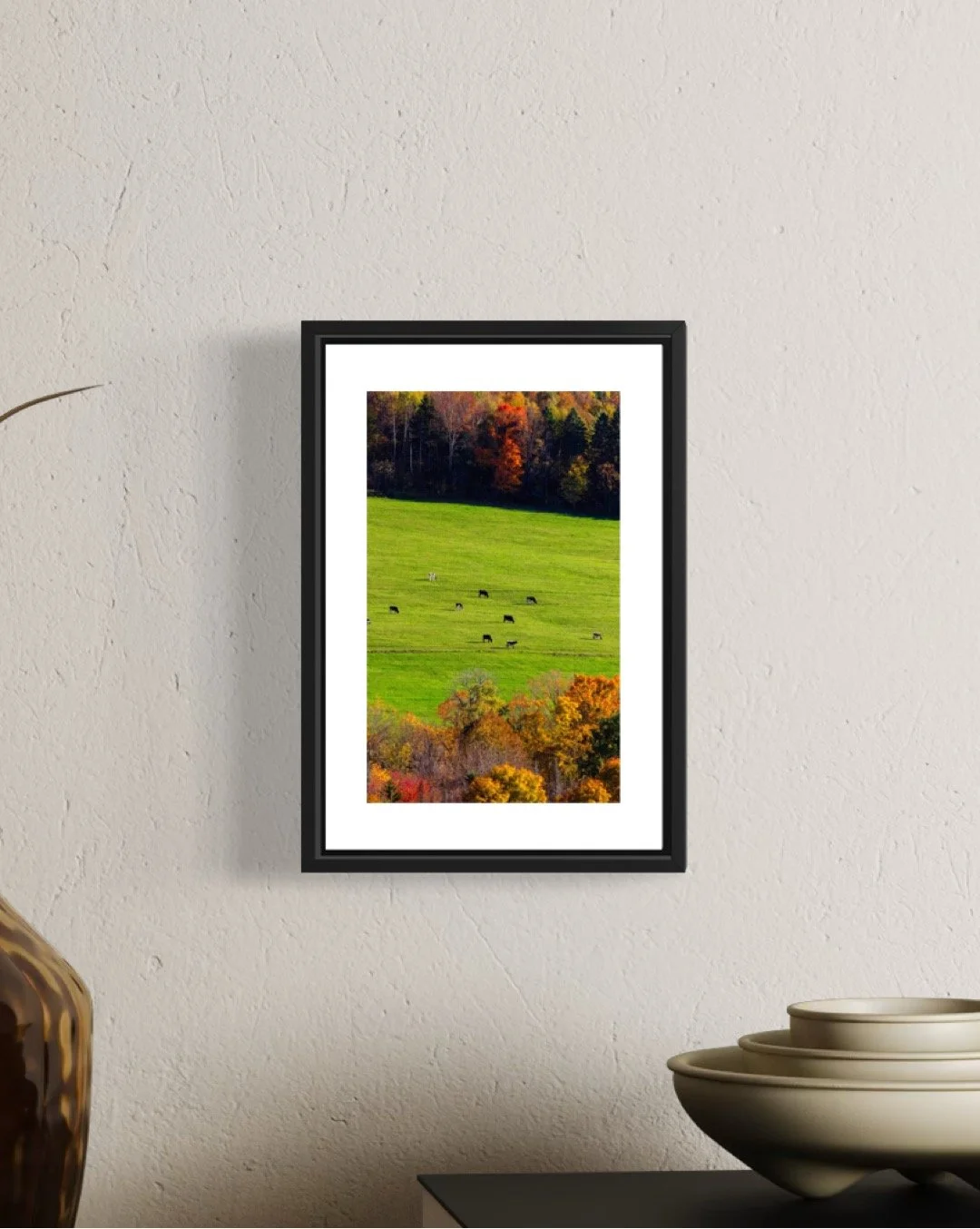 IMGC9667  V 0.5 0.56 FRAME.JPG