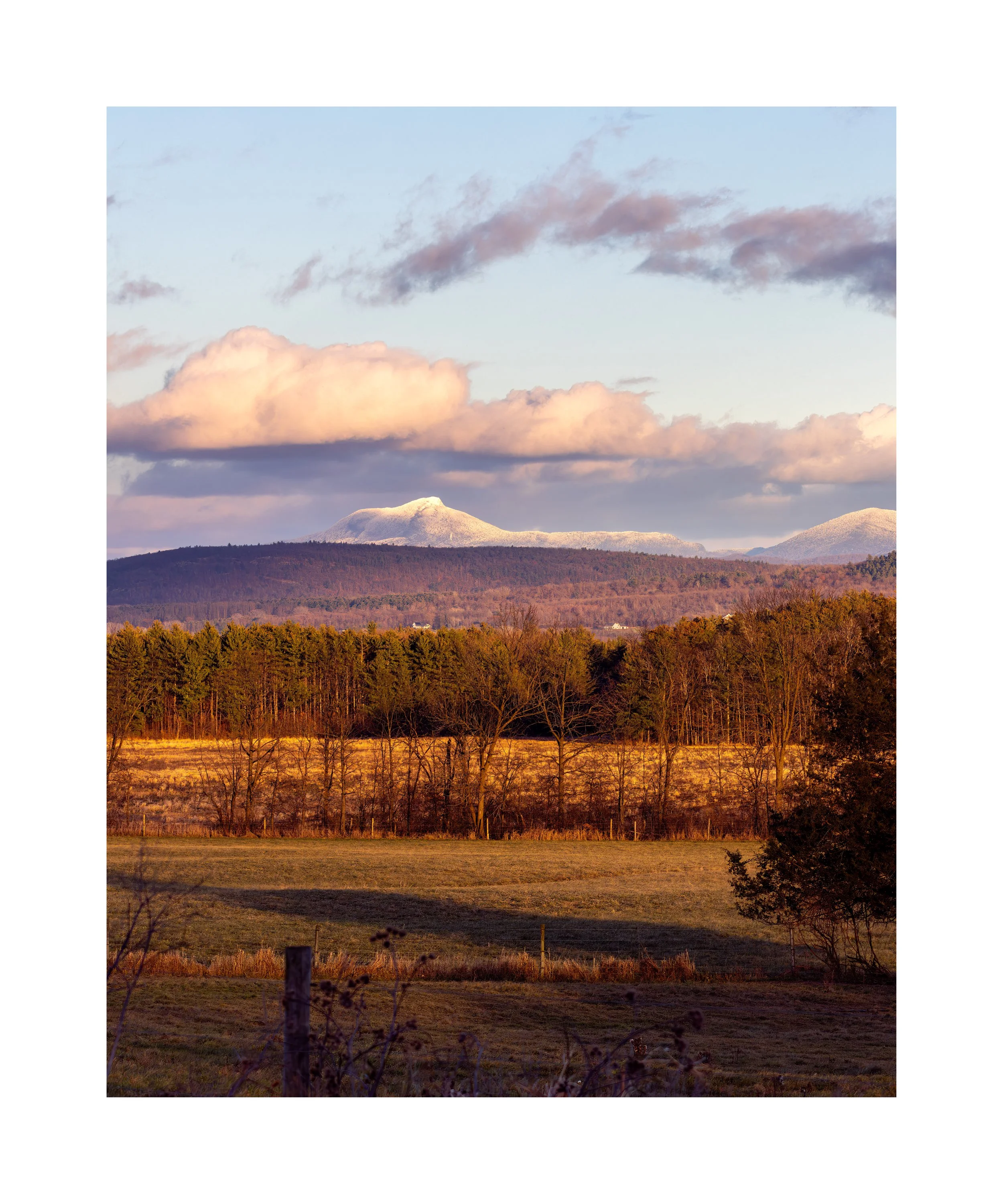 IMGA5586 24X20 2.125 CAT-L.jpg