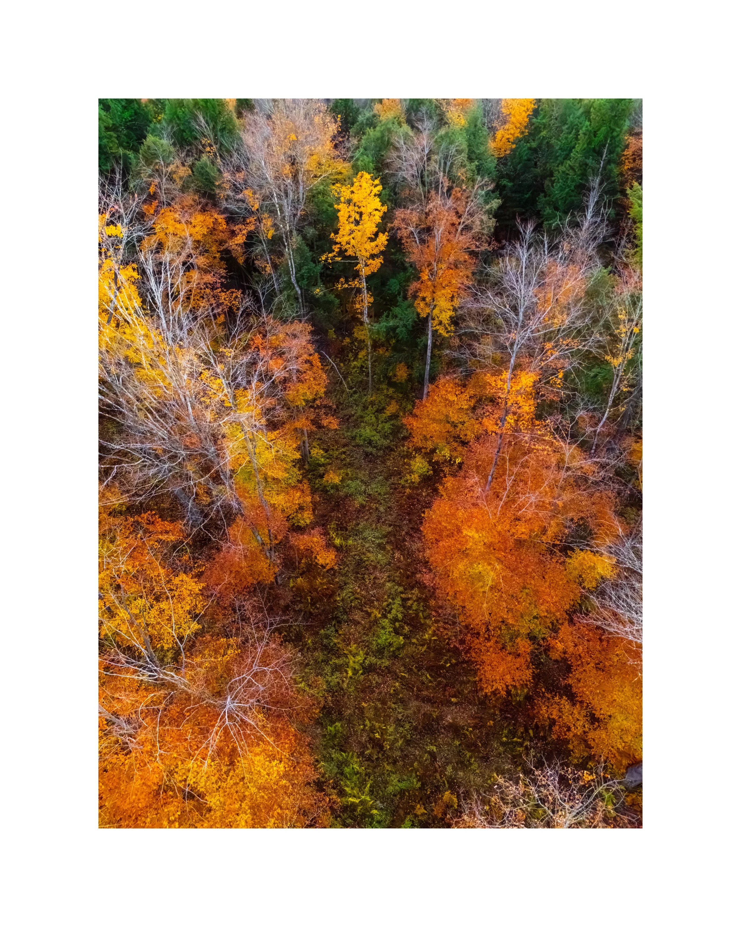 DJI241021_13 20x16 2.125 CAT-L.jpg