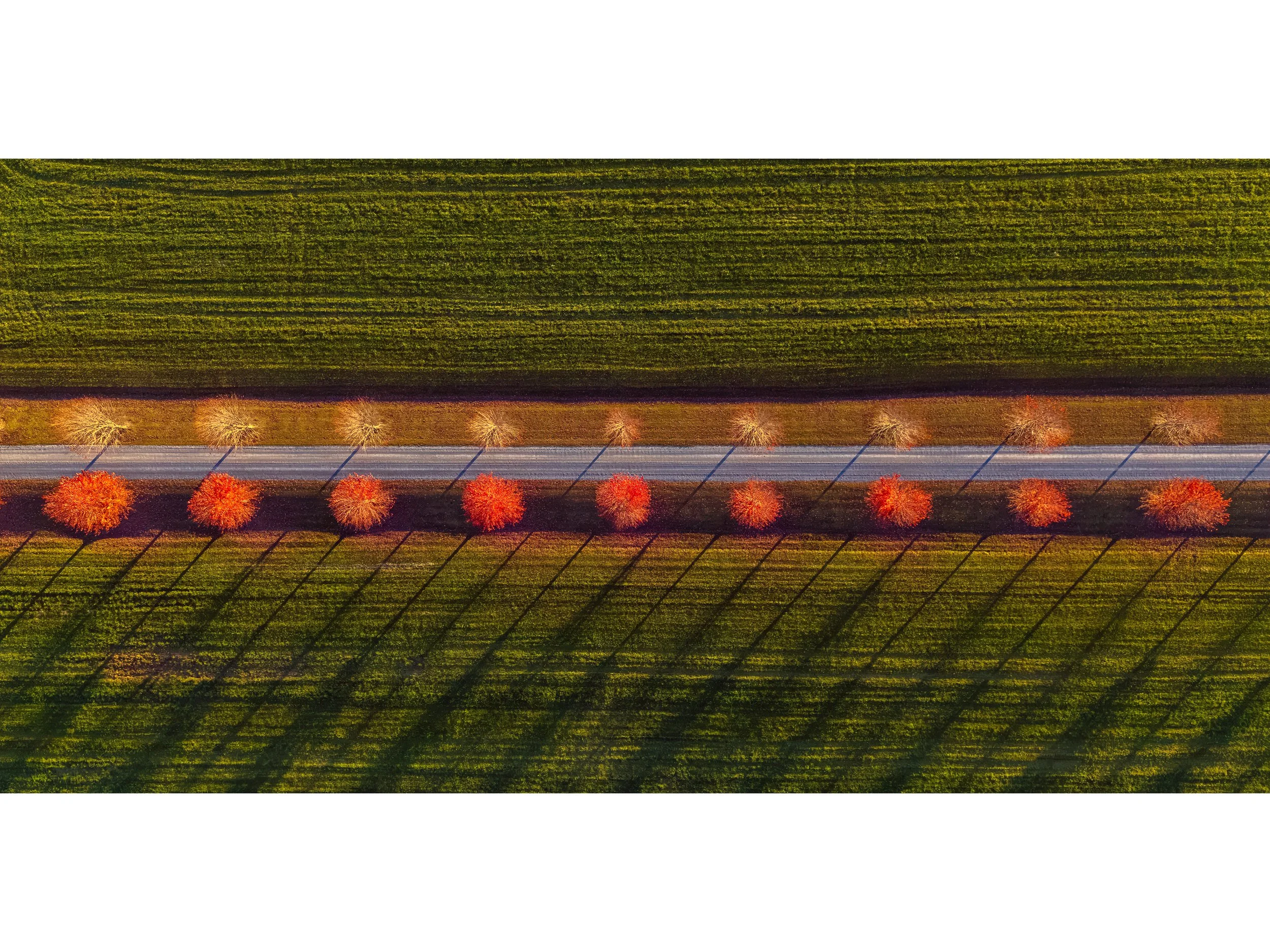 DJI 20261019 0015 ICON-1.jpg