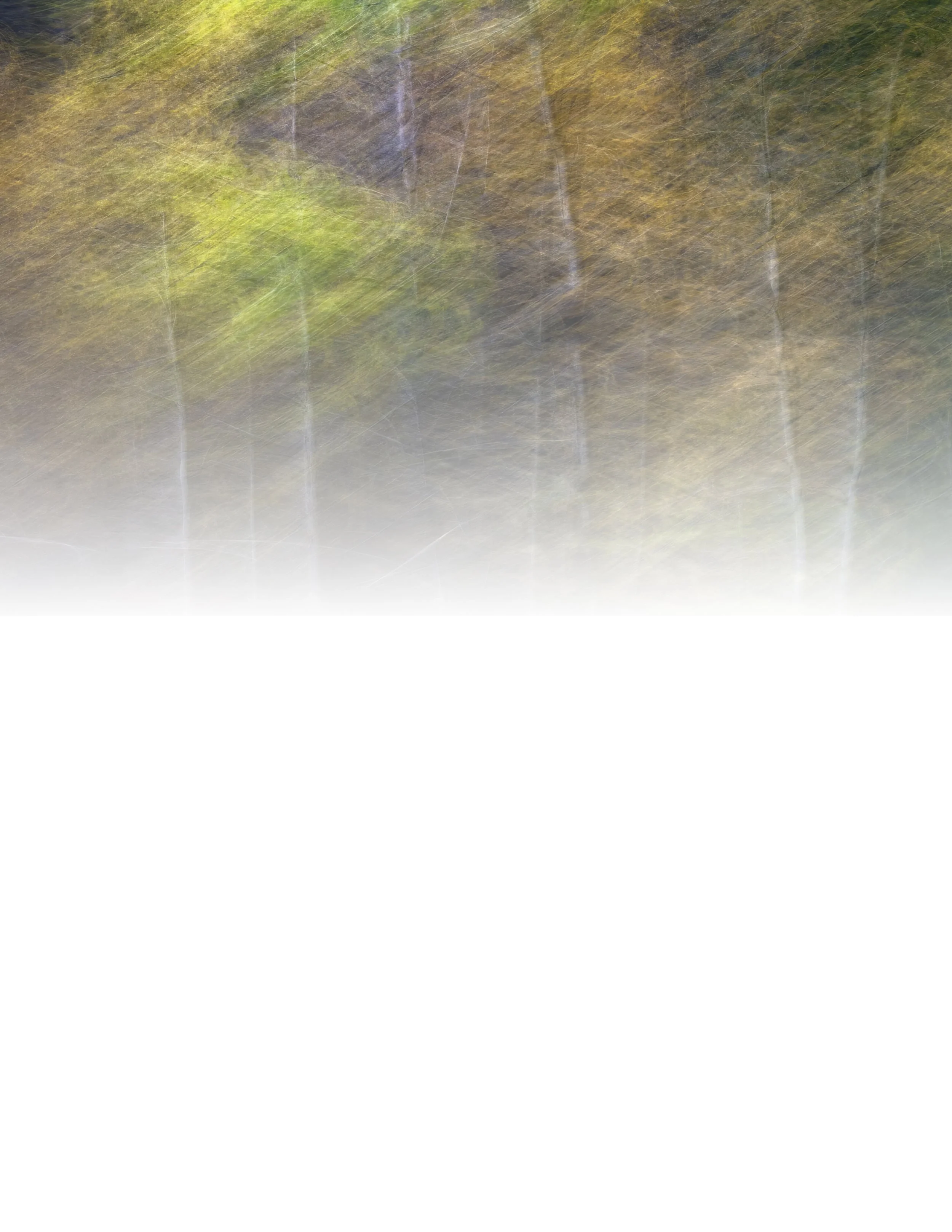 IMG_0438 NOTEPAD FADE 8.5x11 CAT.jpg