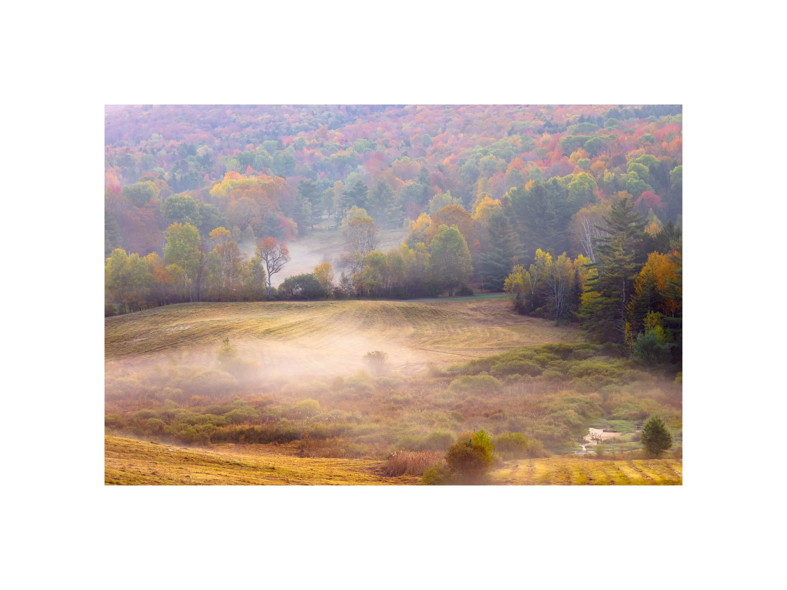 IMGG2937 12x16 2.125 CAT.jpg