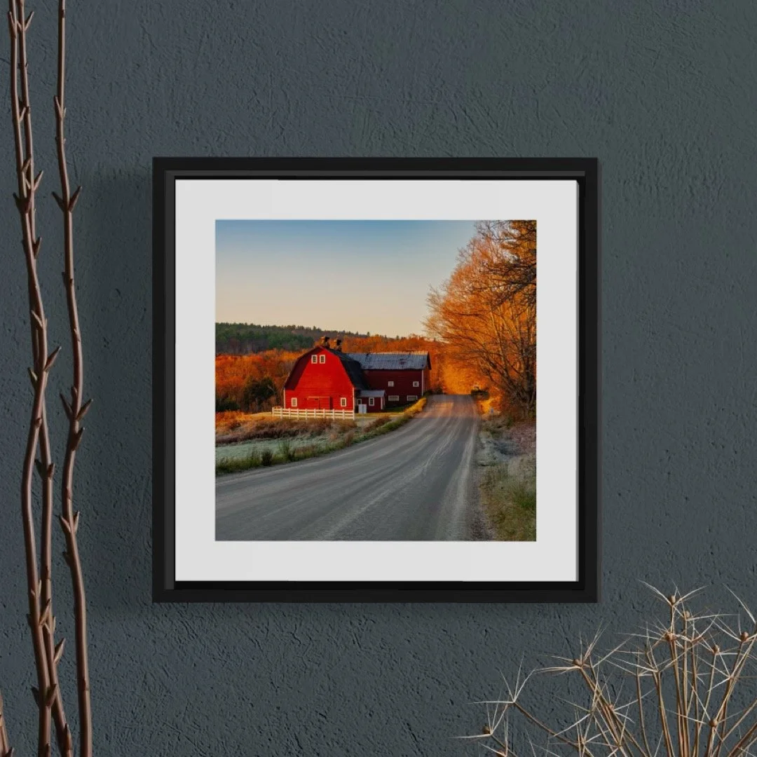 IMG_1314 5x5 0.5 FRAME.JPG