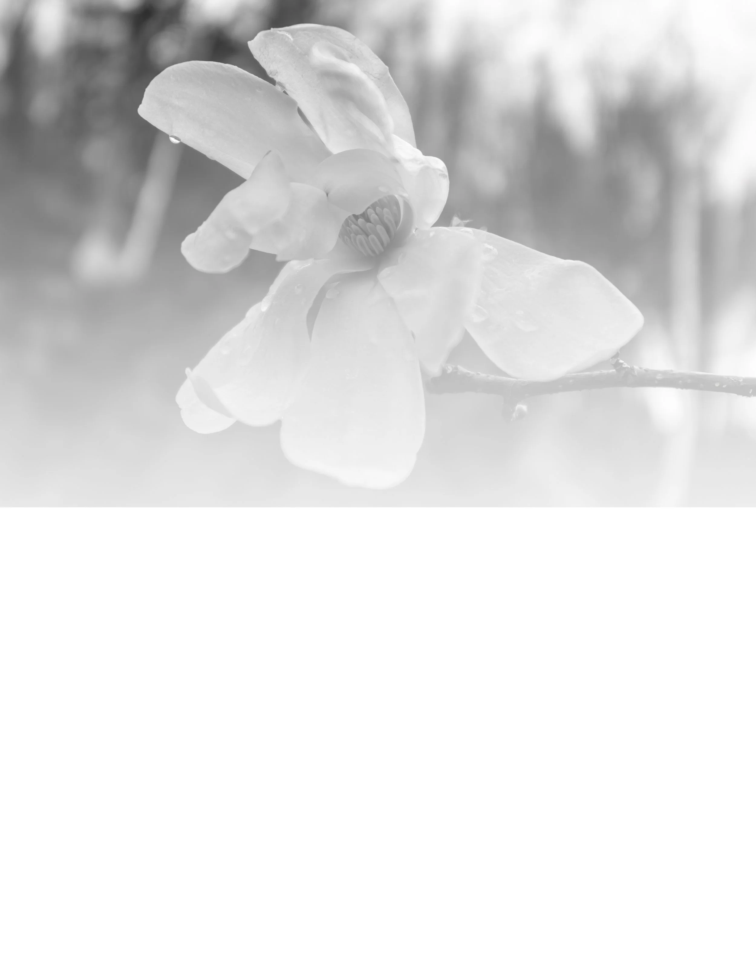 experiment 4 CAT.jpg