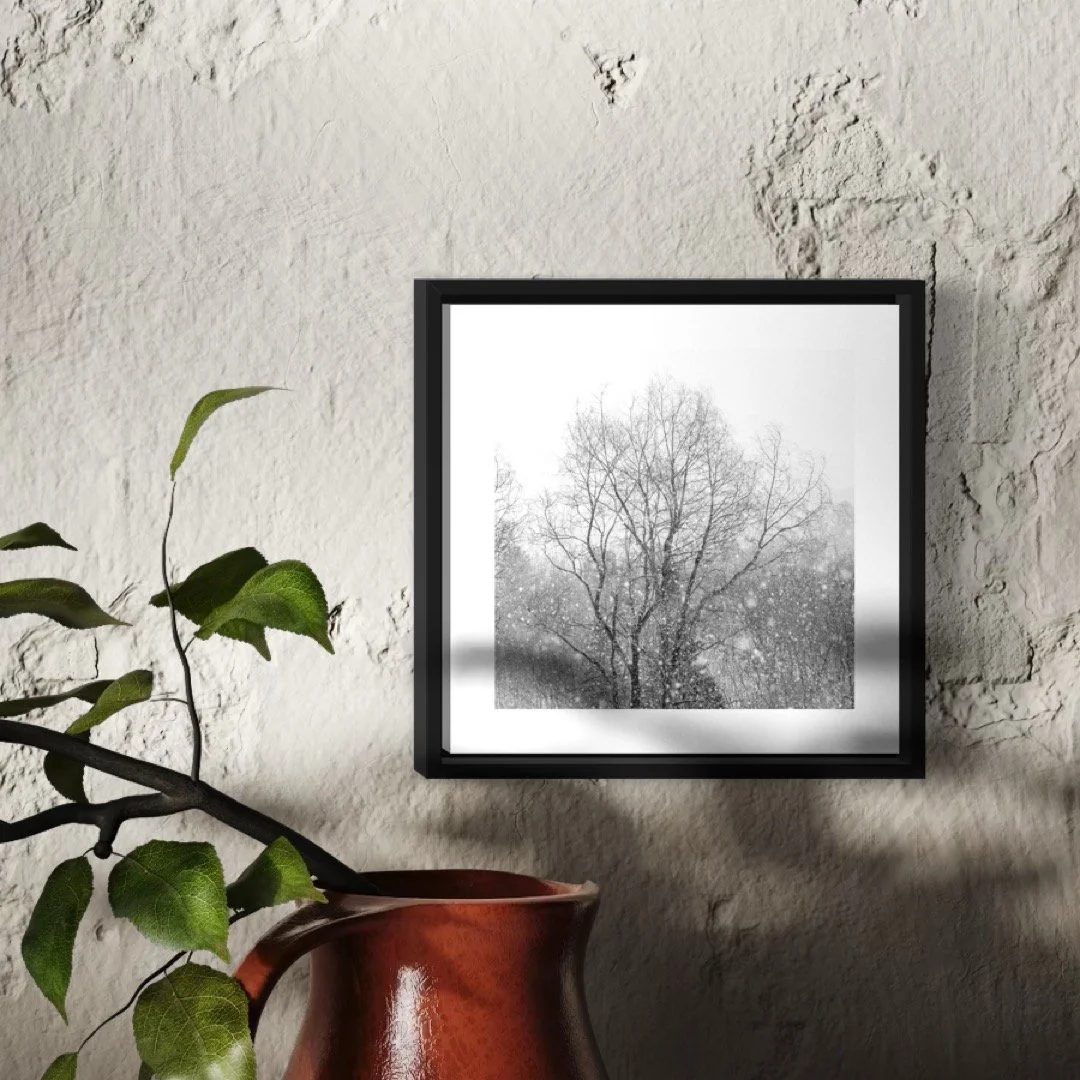 IMGF1797 5x5 0.5 FRAME.JPG