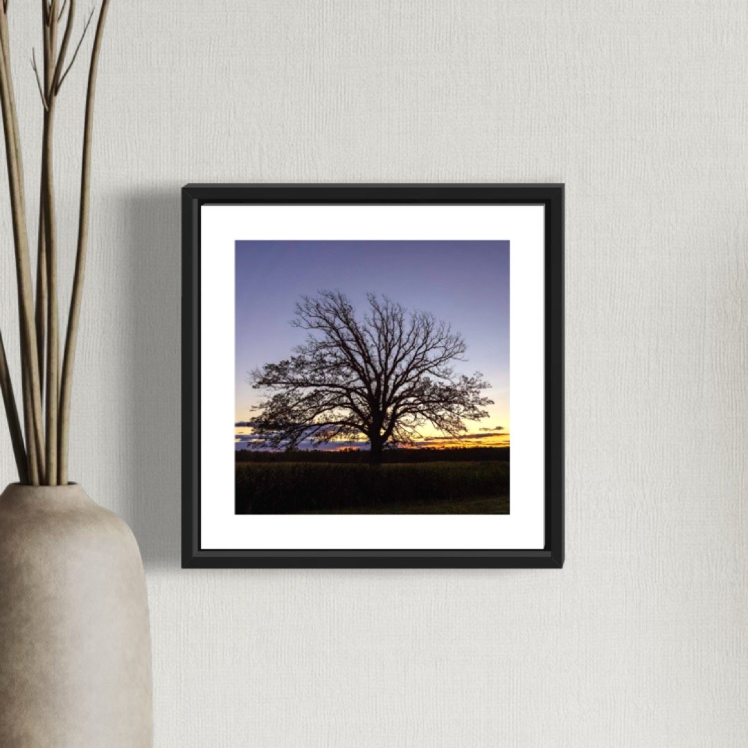 IMGF8981 5x5 0.5 FRAME.JPG