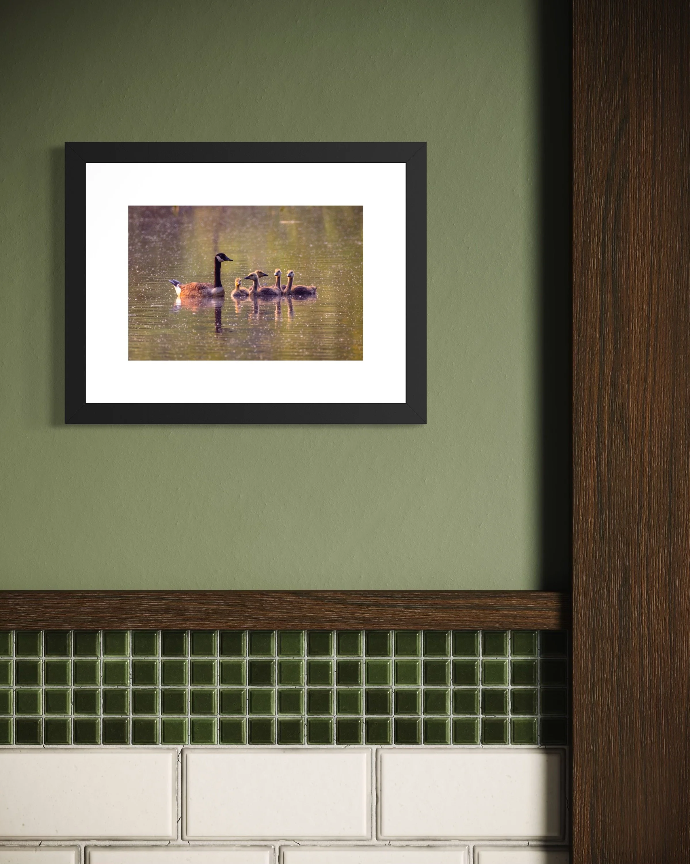 IMGF3445 12x16 2.125 FRAME.JPG