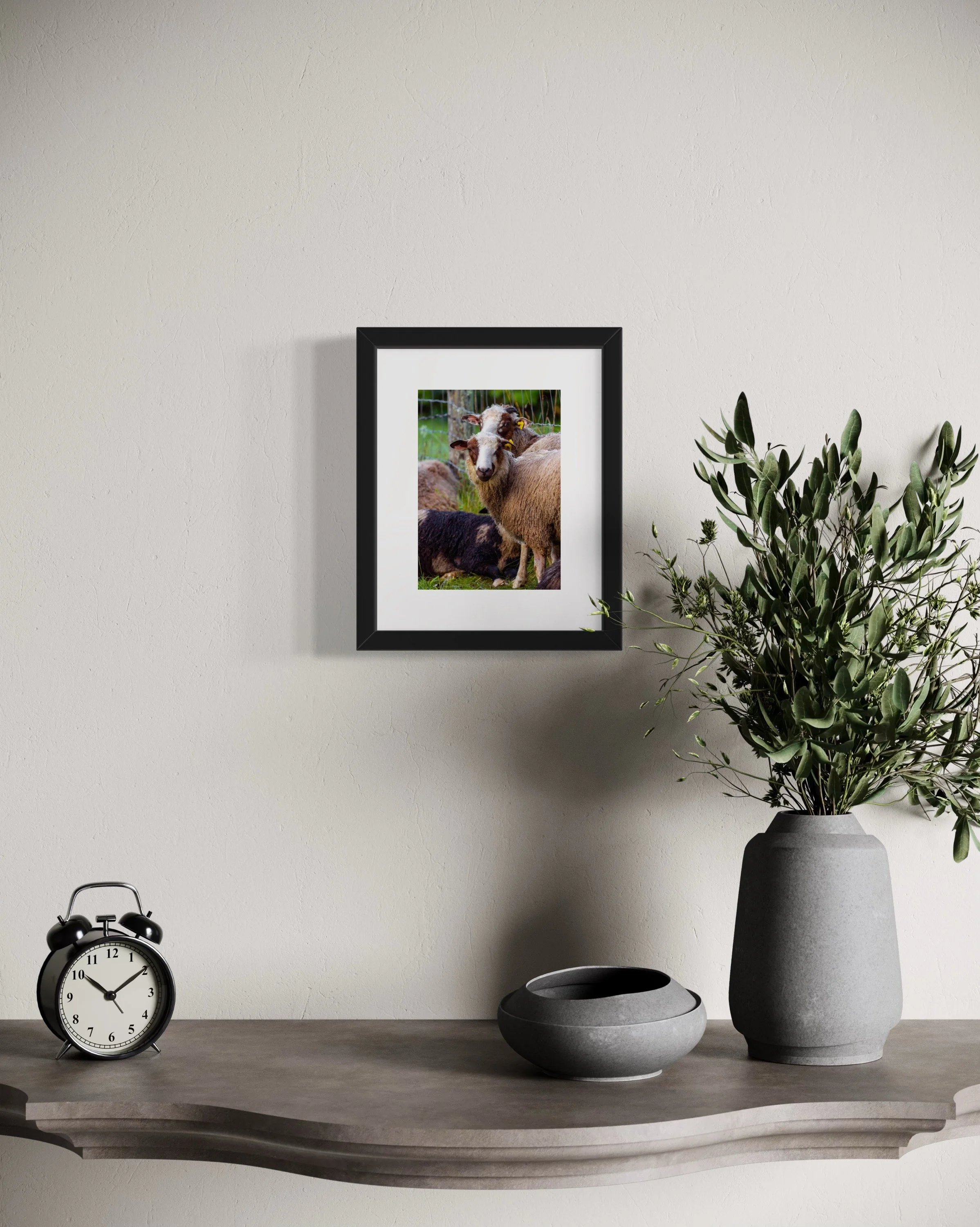 IMGA1860 10x8 1.625 FRAME.JPG