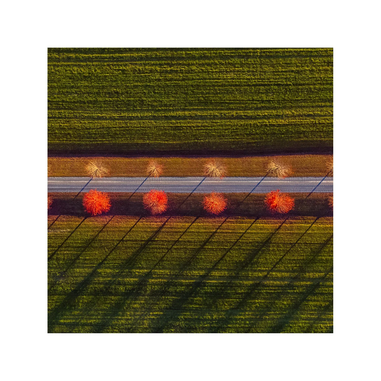 DJI 20261019 0015 5X5 .625 CAT.jpg
