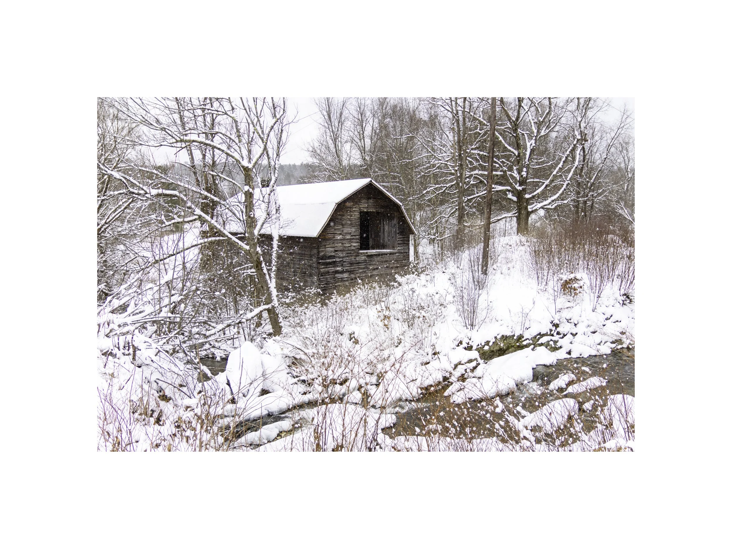 IMGG6740 12x16 2.125 CAT.jpg