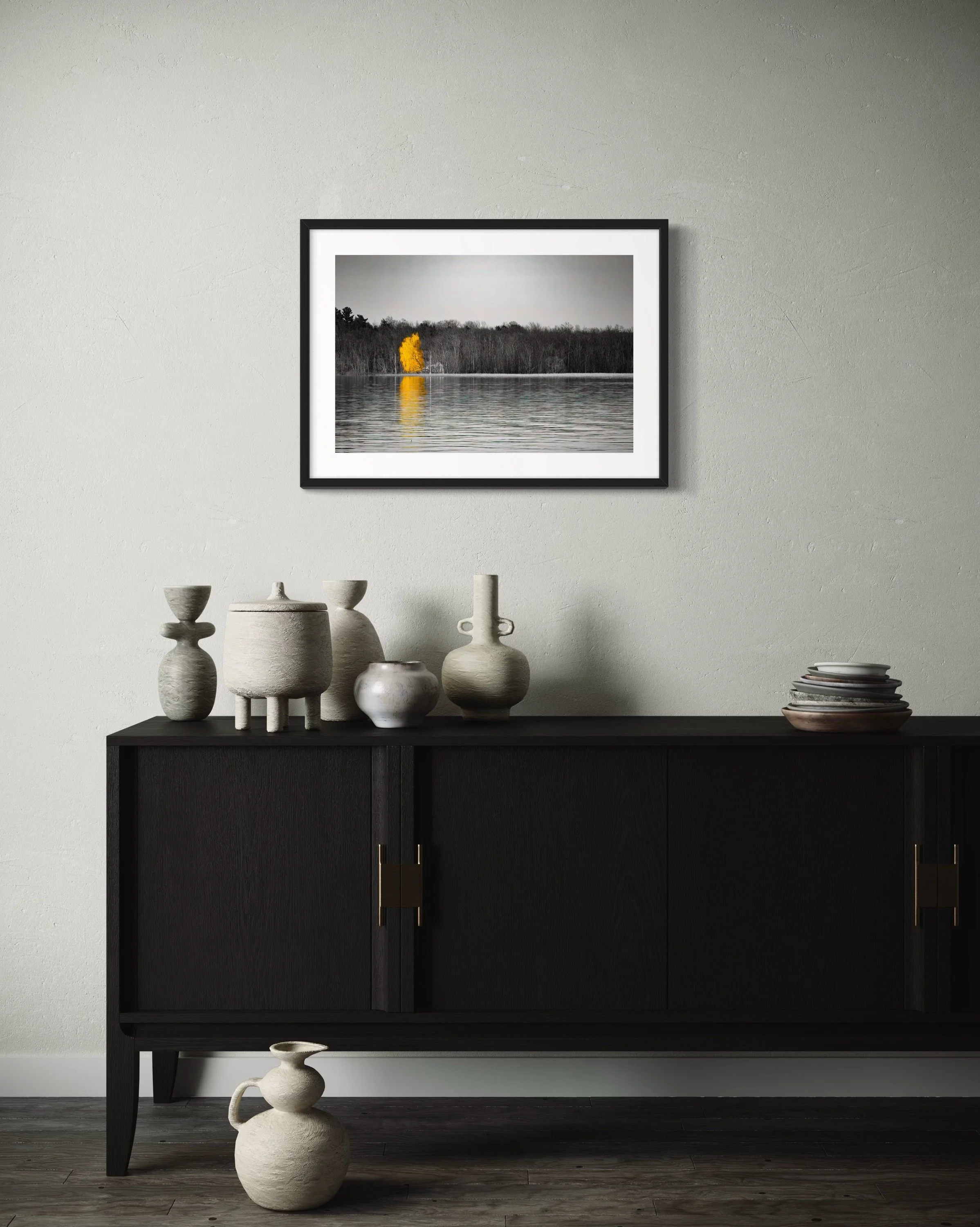 IMG_4426 20x28 2.125 FRAME.JPG