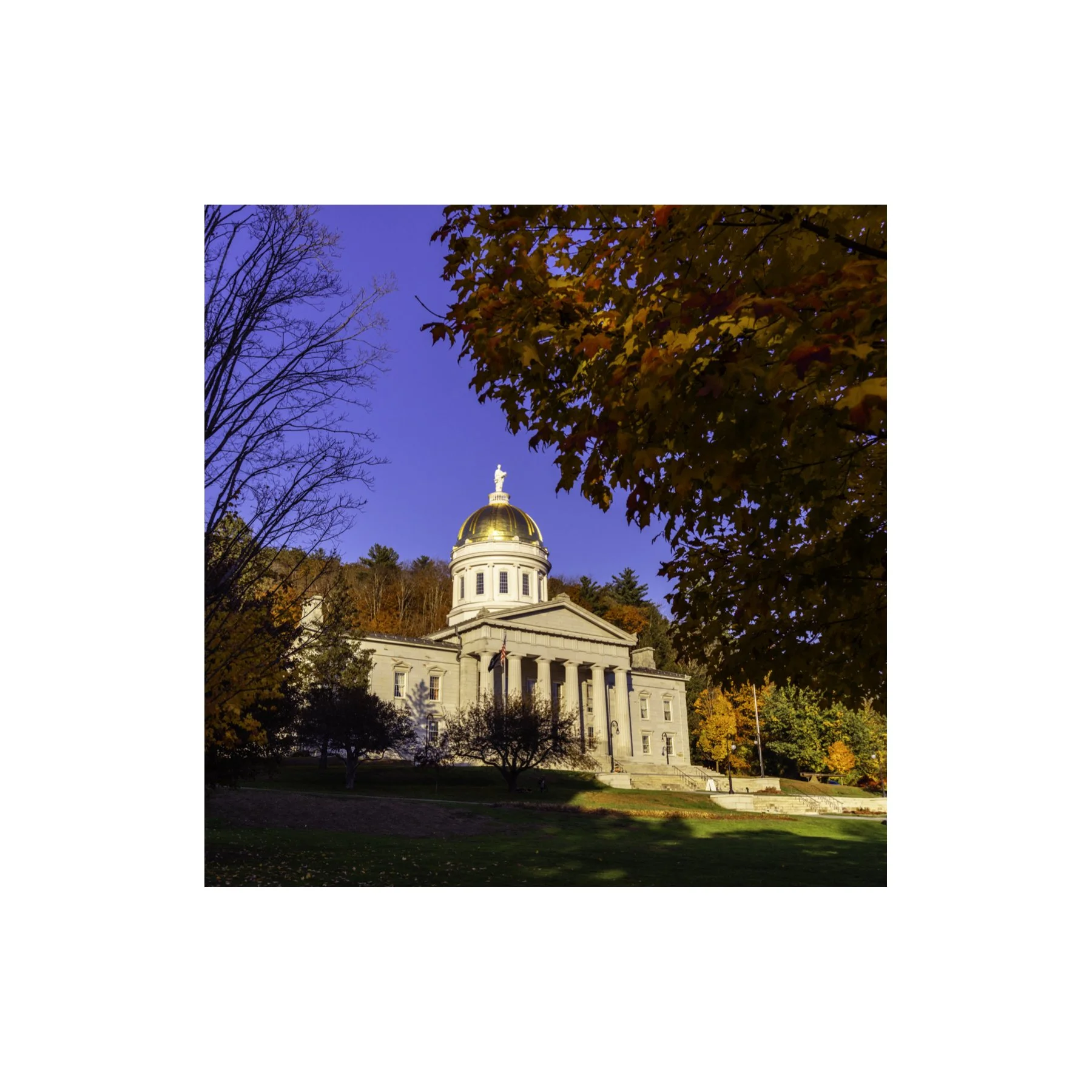 IMGD0264 6x6 1.125 CAT.jpg