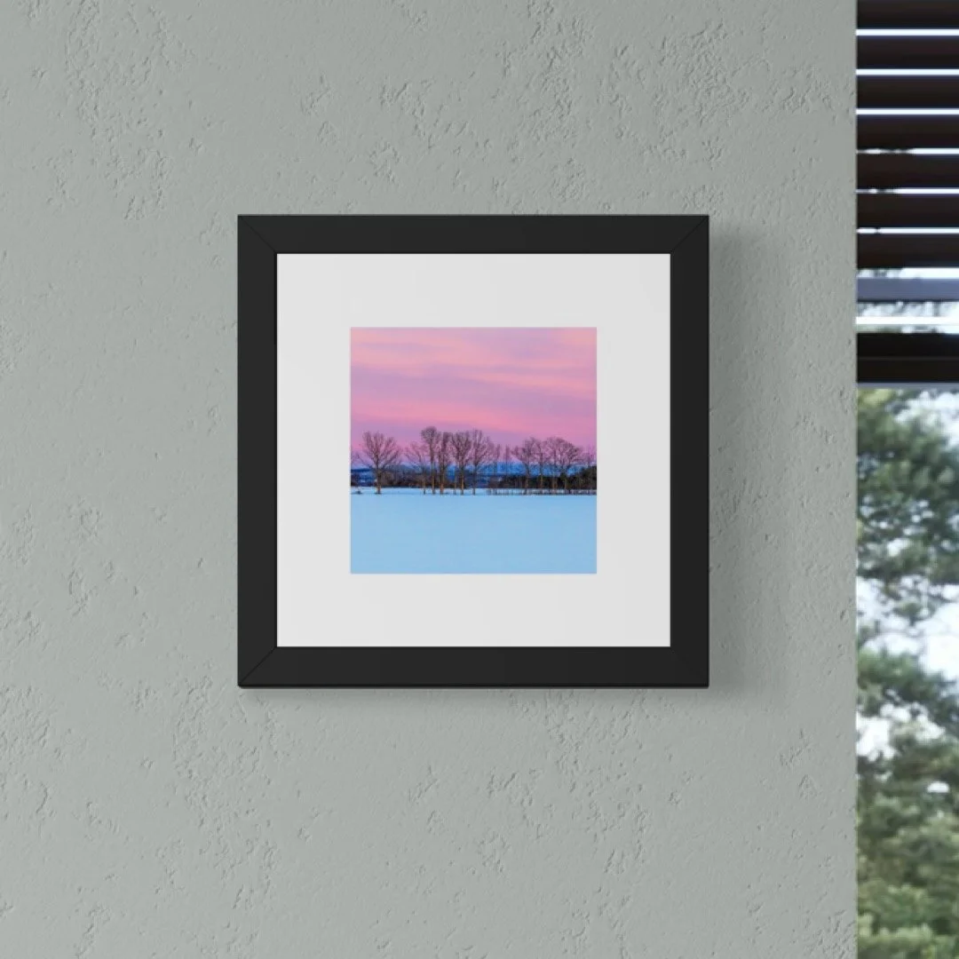 IMGA5300 6x6 1.125 FRAME.JPG