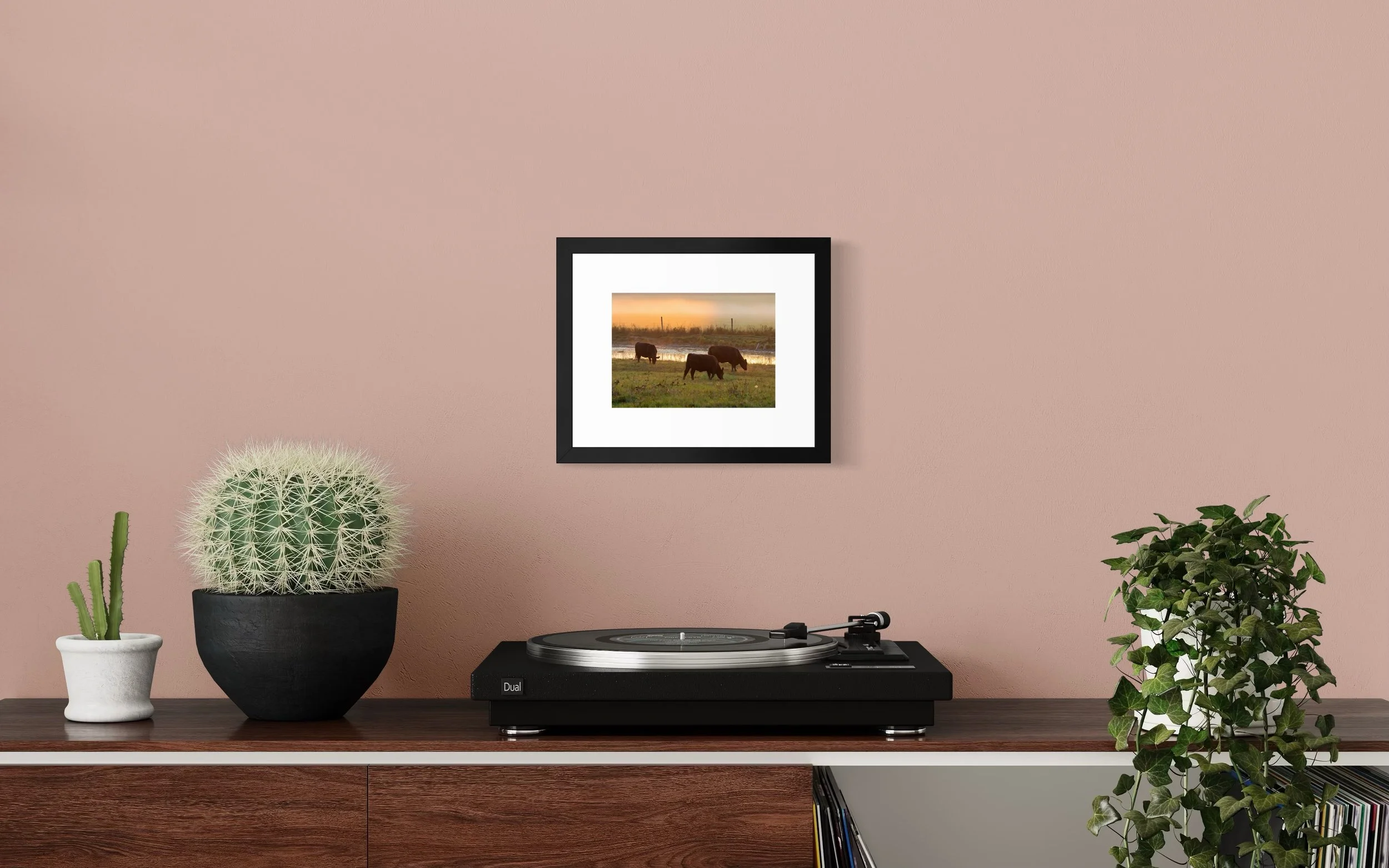 IMGG2067 8x10 1.625 FRAME.JPG