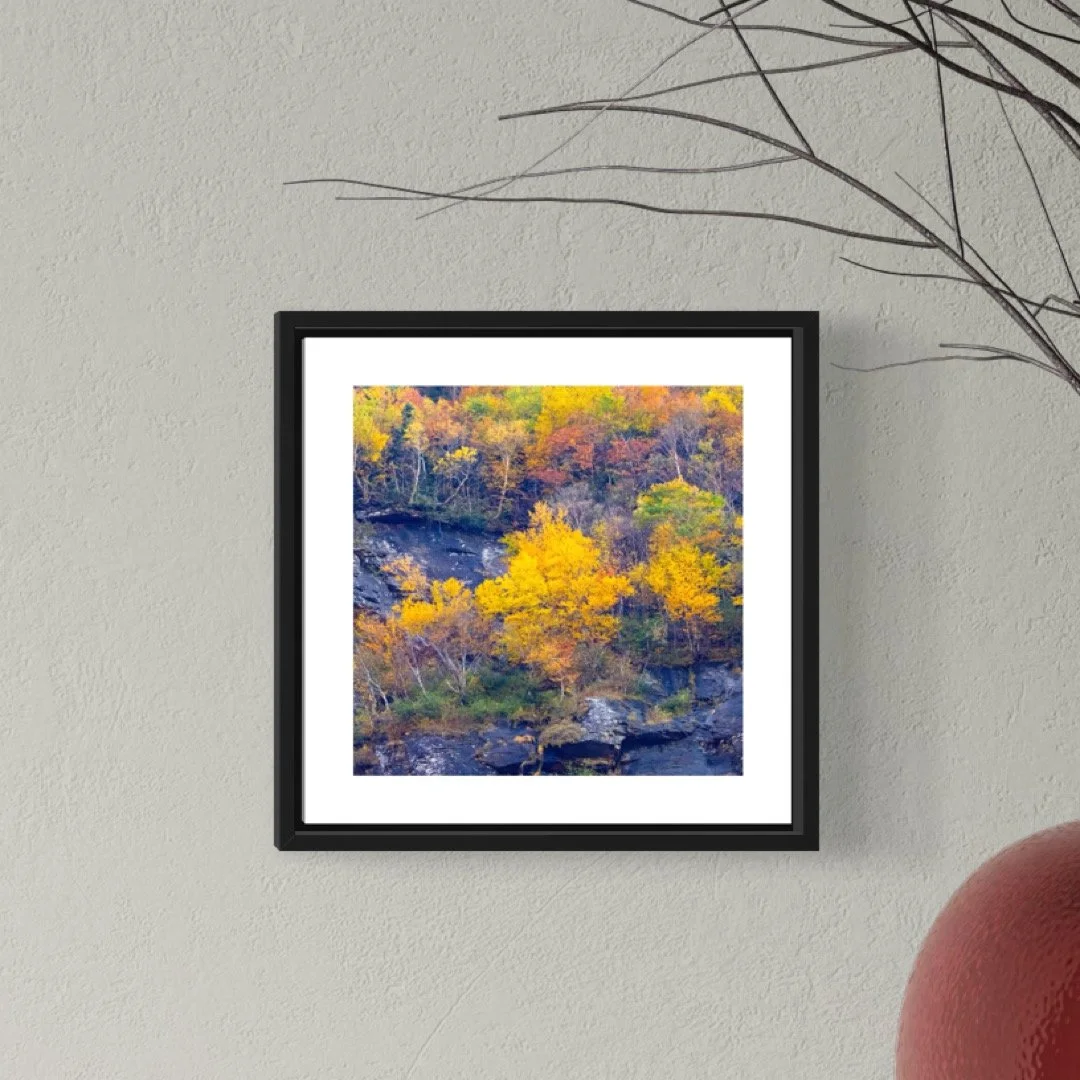 IMGG3080 A 5x5 0.5 FRAME.JPG