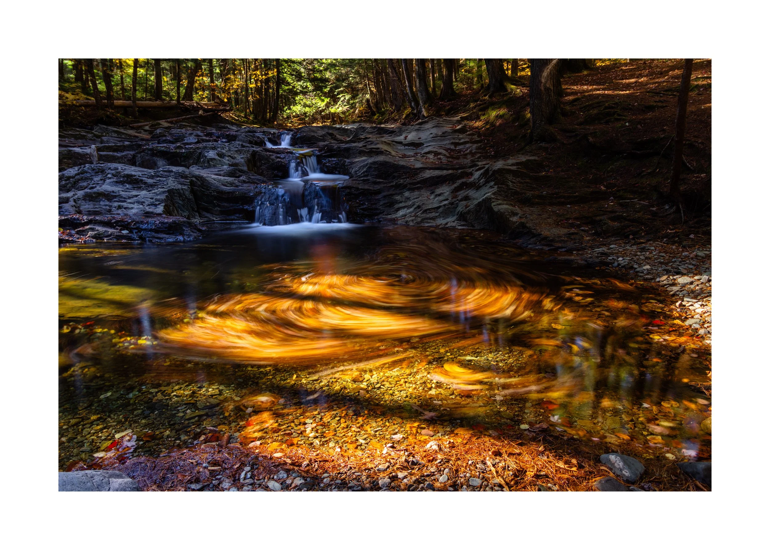 IMGC9901 20x28 2.125 CAT-L.jpg