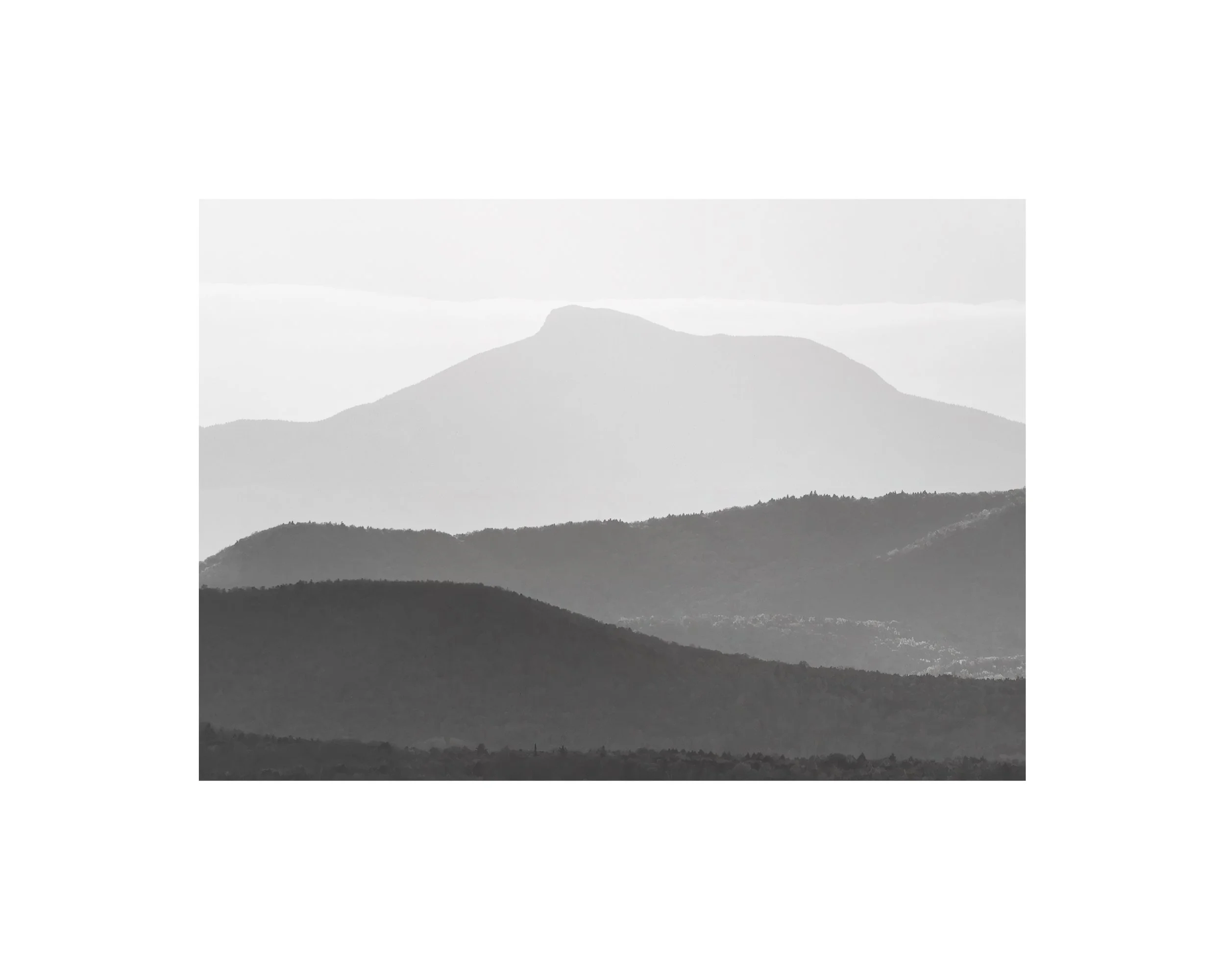 IMGG3334 BW 8x10 1.625 CAT.jpg