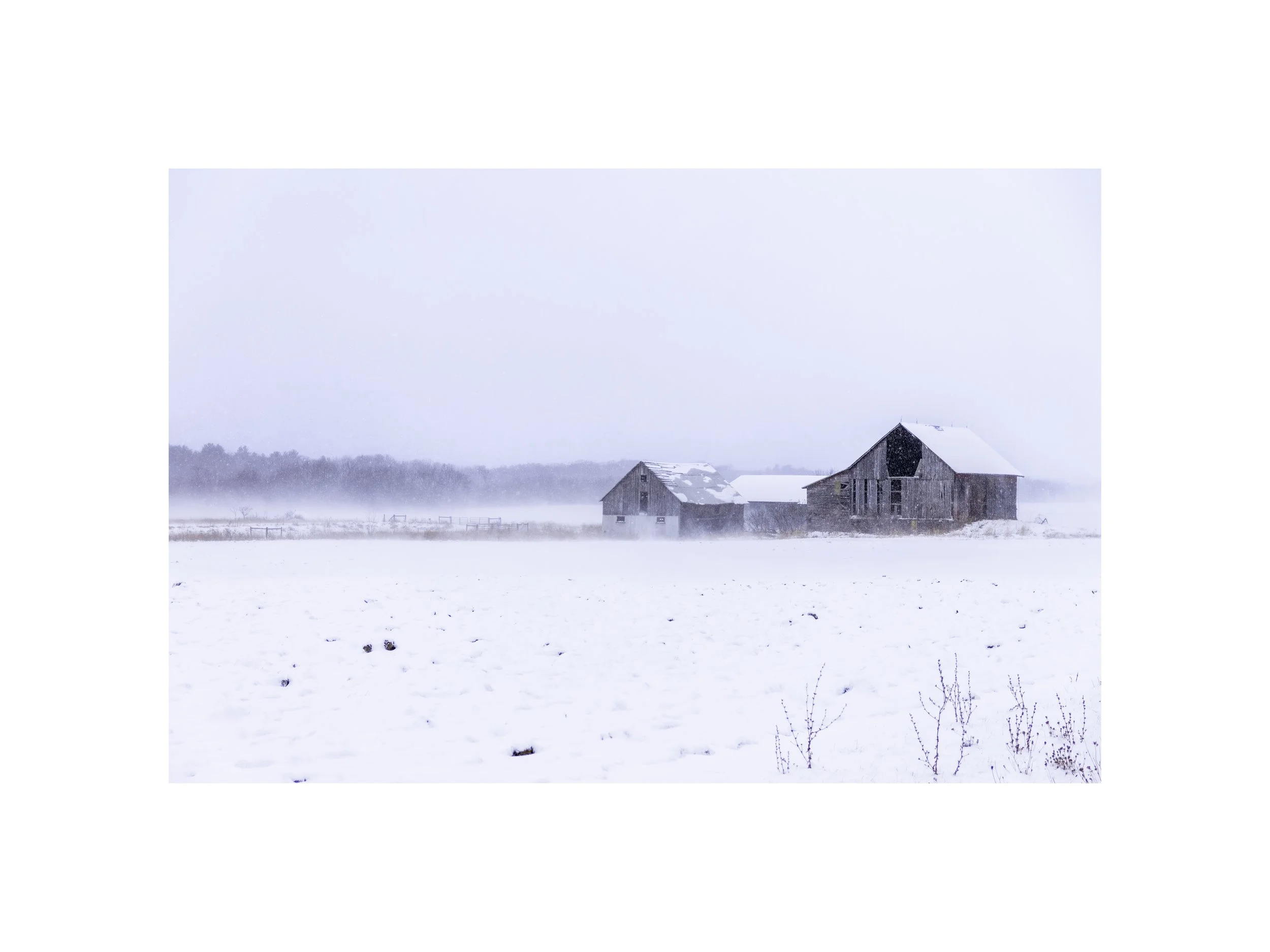 IMGG6619 12x16 2.125 CAT.jpg