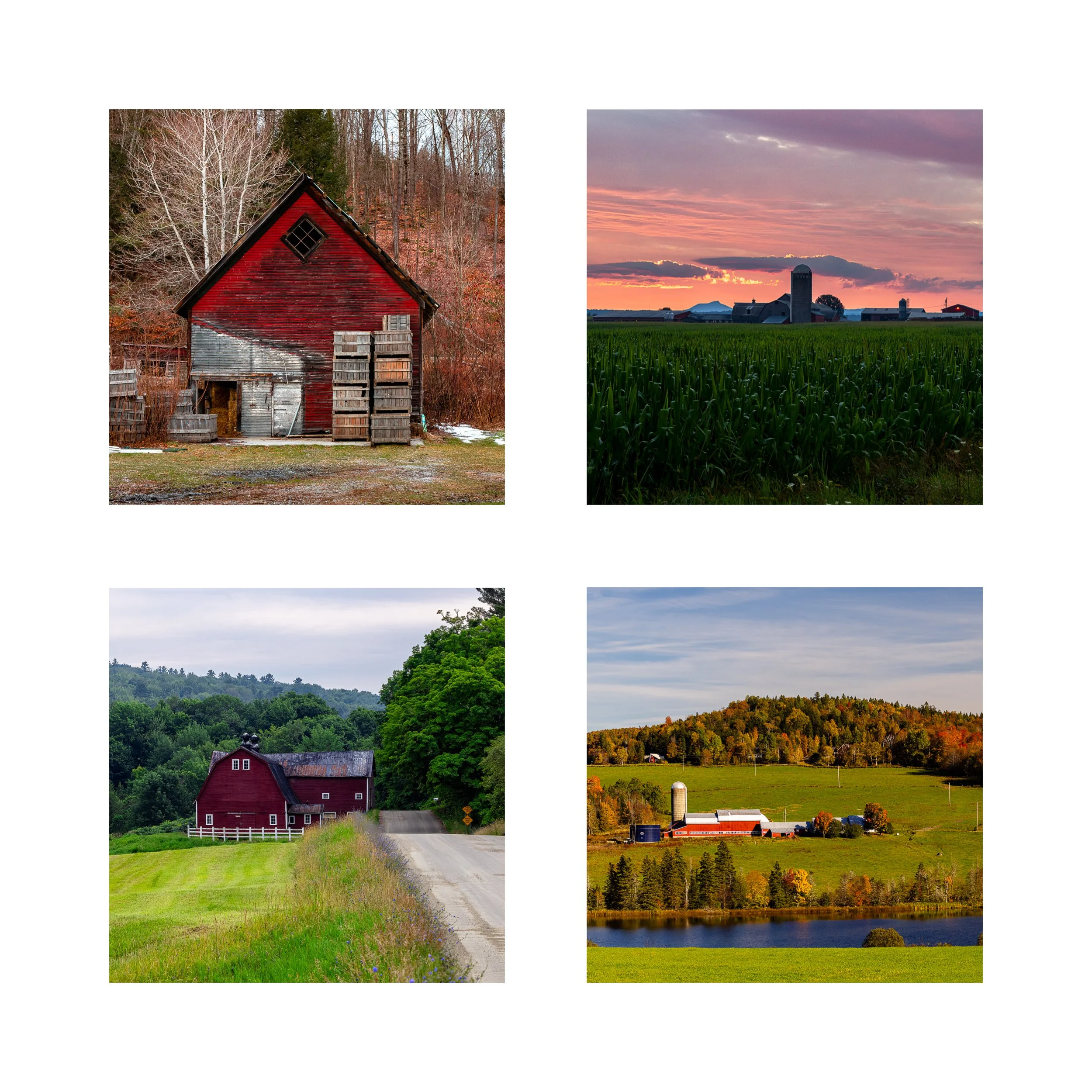 BARNS 1 COLLAGE 10X10 1 0.75 CAT.jpg