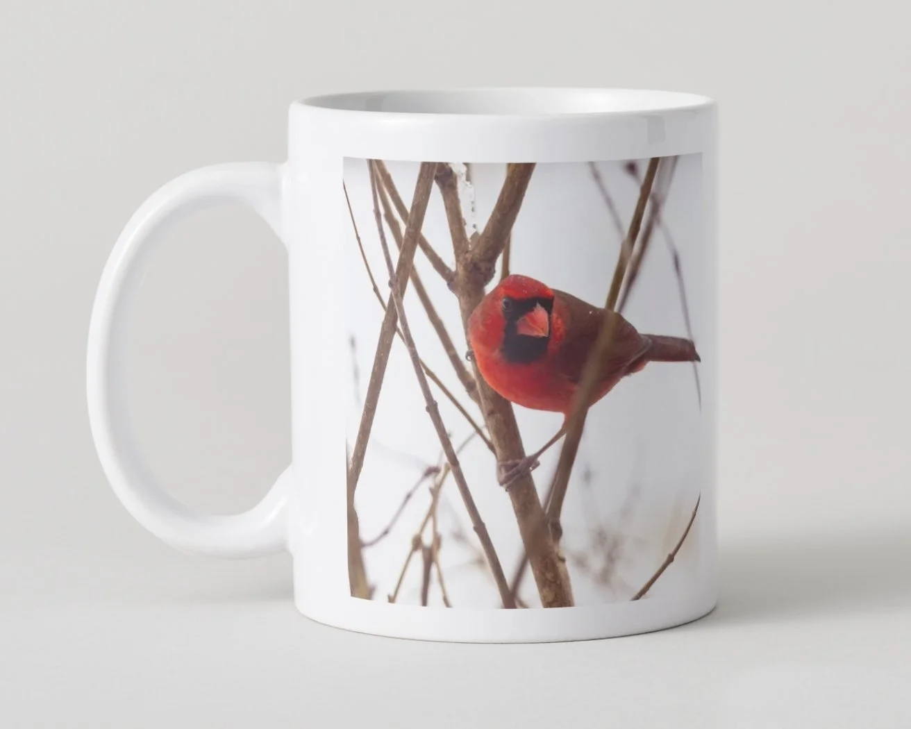IMGA5393 5x5 MUG IMAGE 1-60.jpg