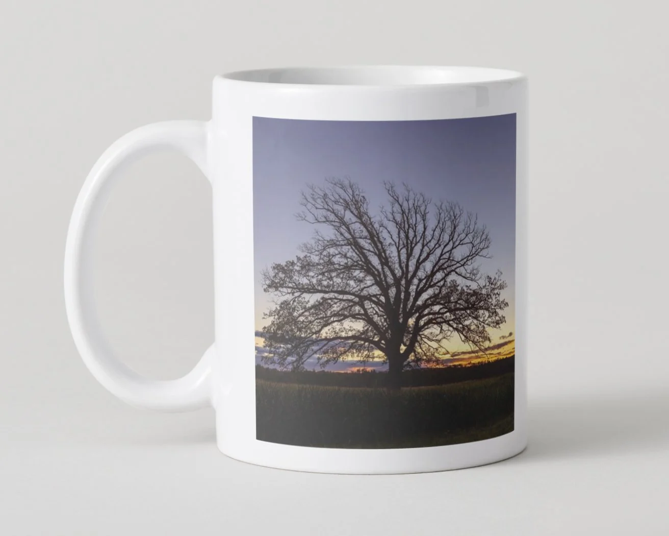 IMGF8981 5x5 MUG IMAGE 1-92.jpg