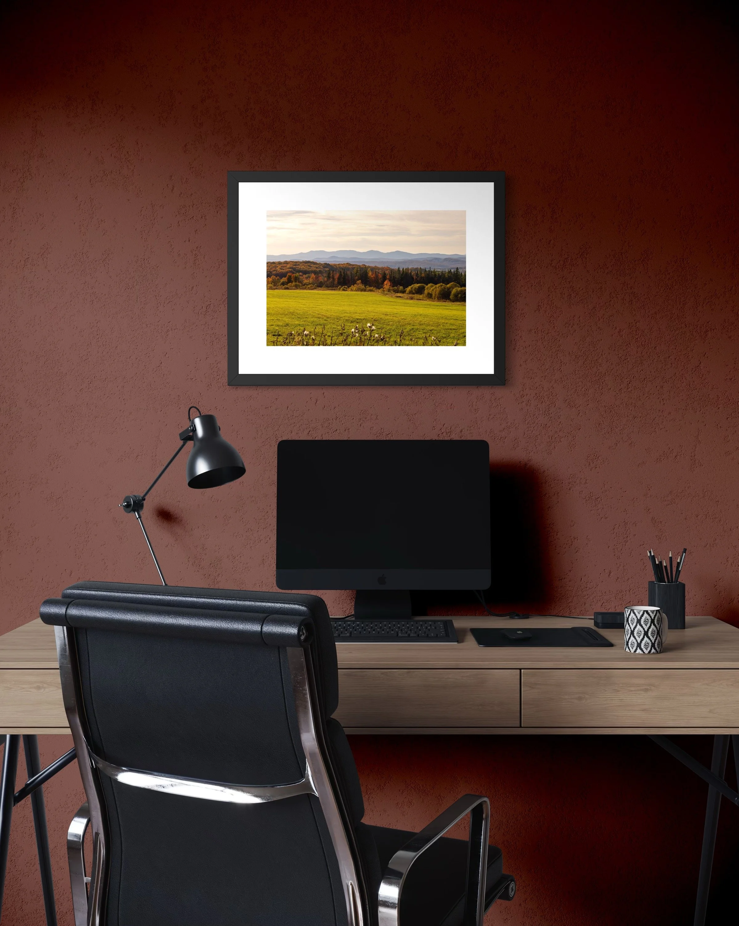 IMGC9704 18X24 2.625 FRAME.JPG