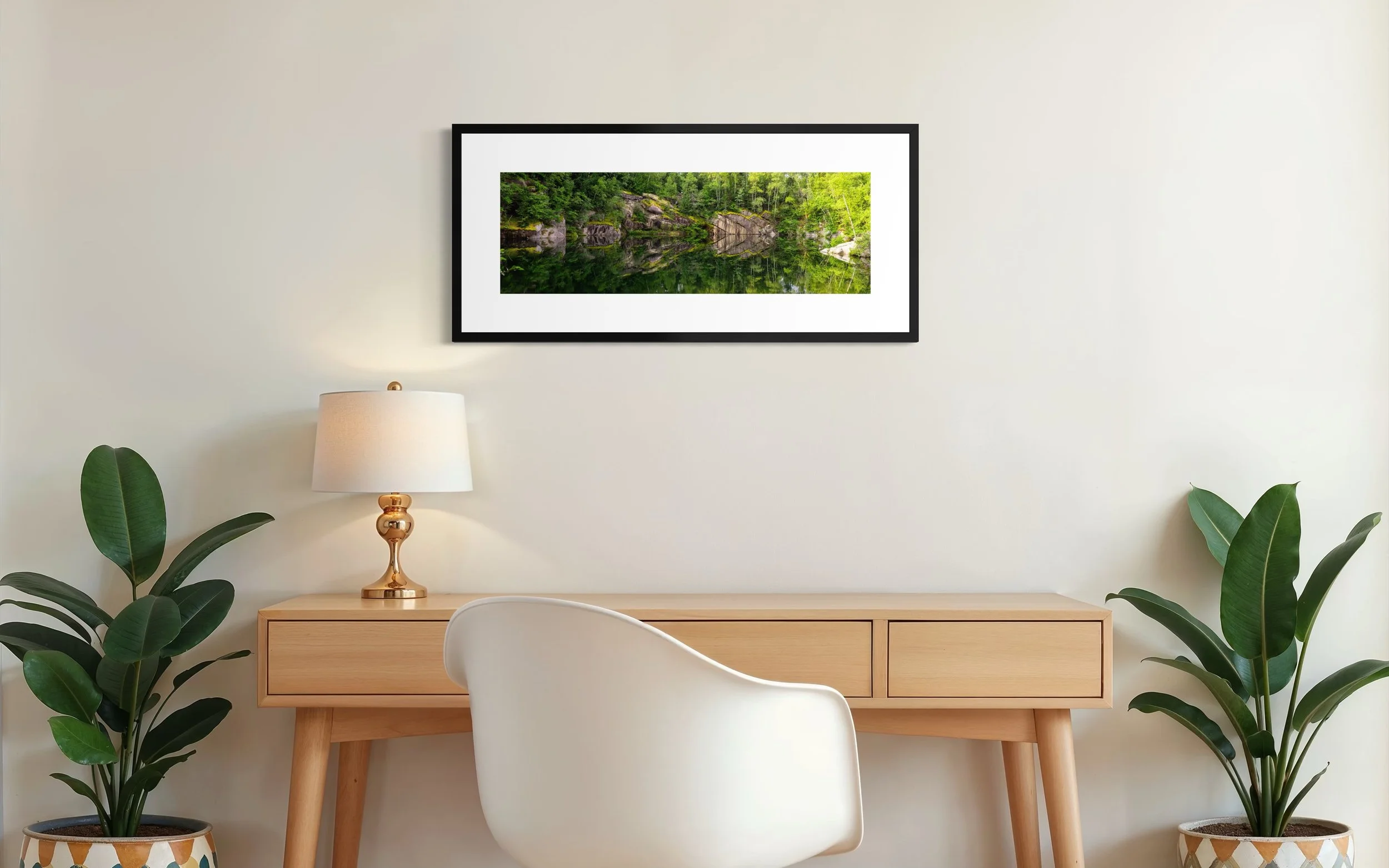 IMGC3883 16X36 3.125 FRAME.JPG