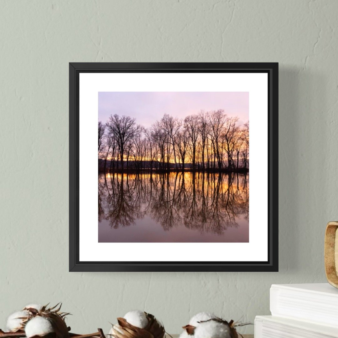 IMGA6265 5x5 0.5 FRAME.JPG