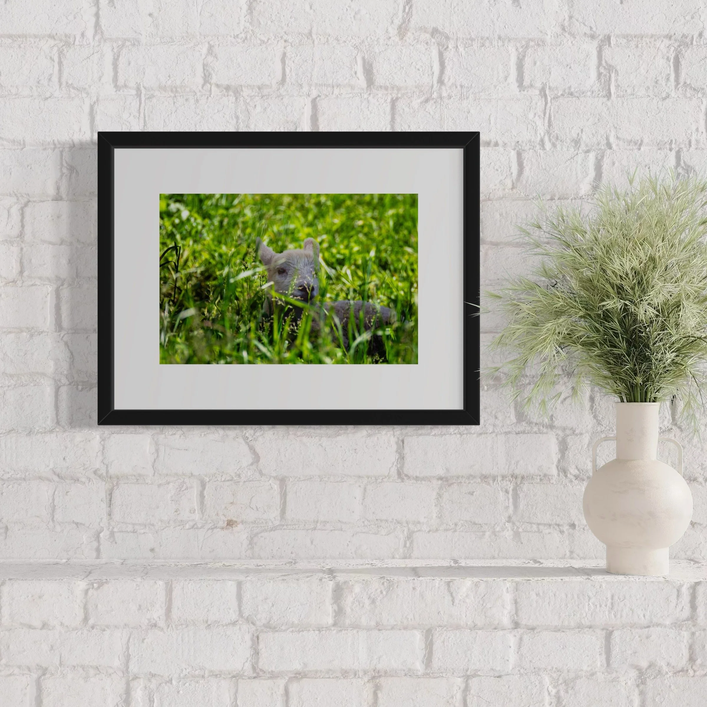 IMGF2792 12x16 2.125 FRAME.JPG