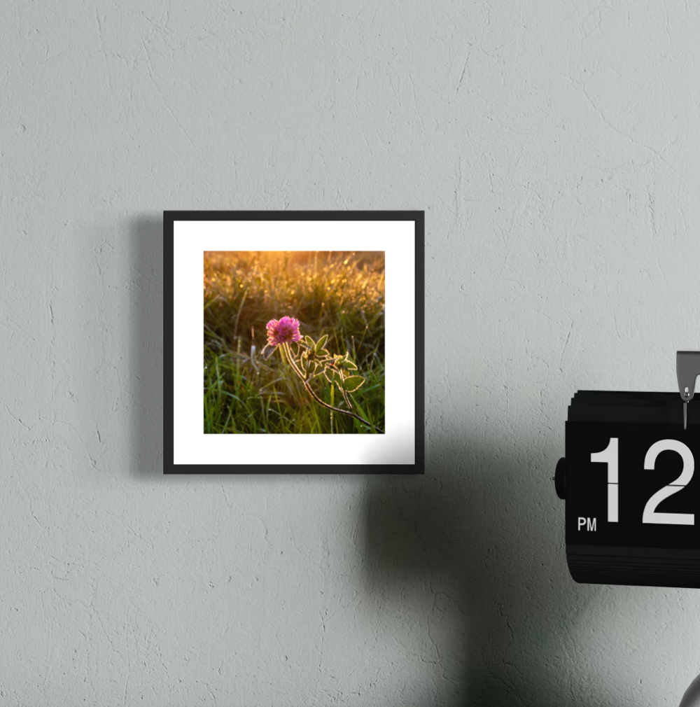 IMGA5662 5x5 .625 FRAME.PNG