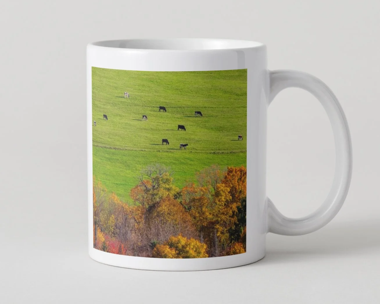 IMGC9667 5x5 MUG IMAGE 1-69.jpg