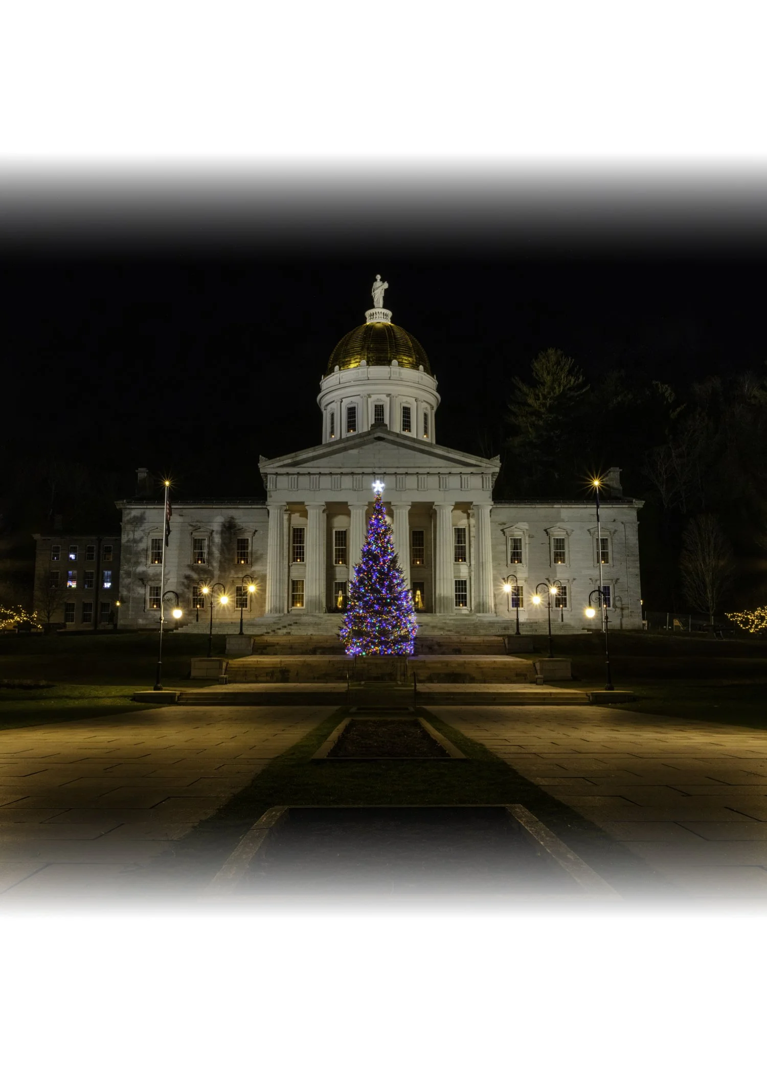 IMGA2532 NOTECARD CENTER FADE 7x5 CAT.jpg